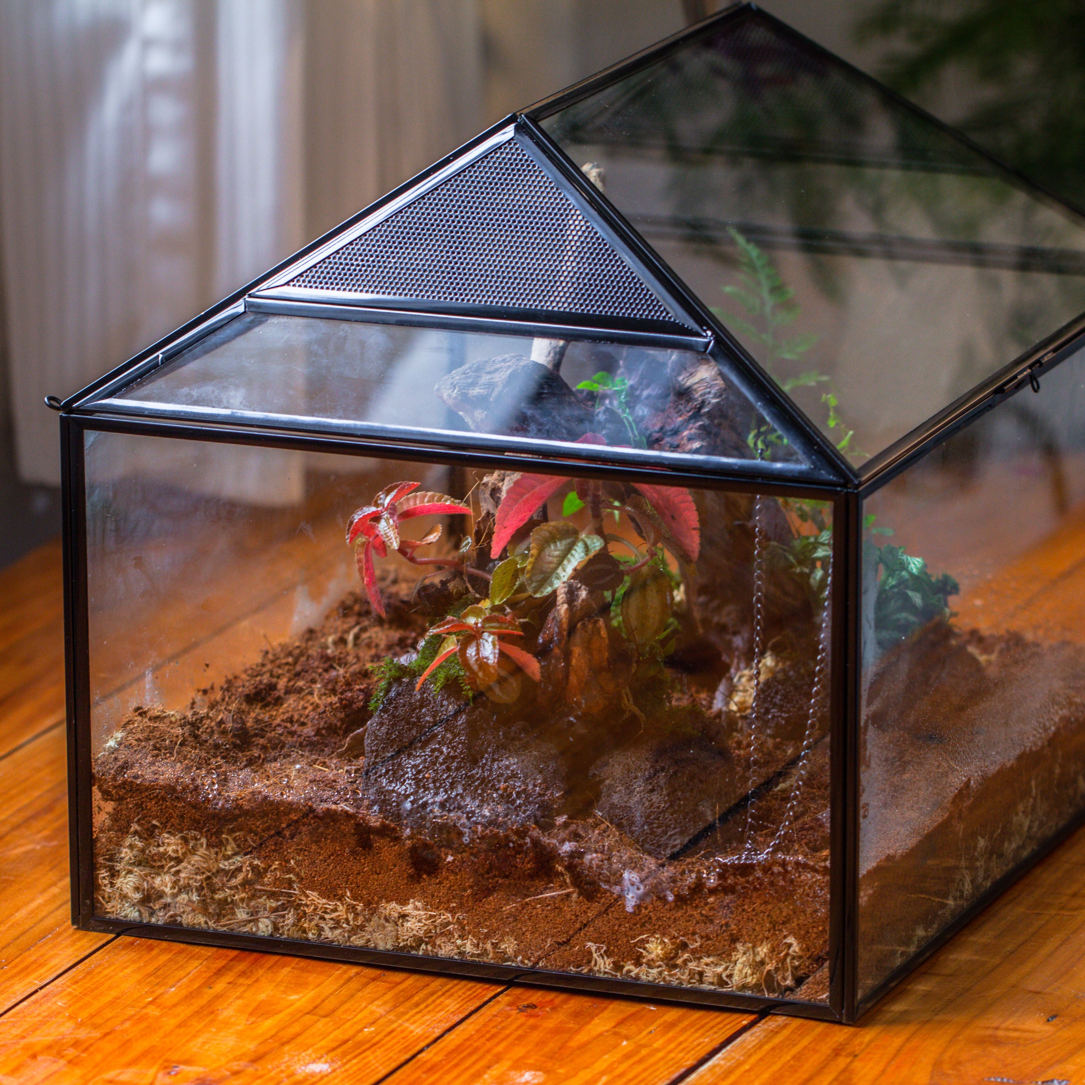 NCYP Handmade Large House Shape Geometric Glass Terrariumn 14x12x12" for Tarantulas - NCYPgarden