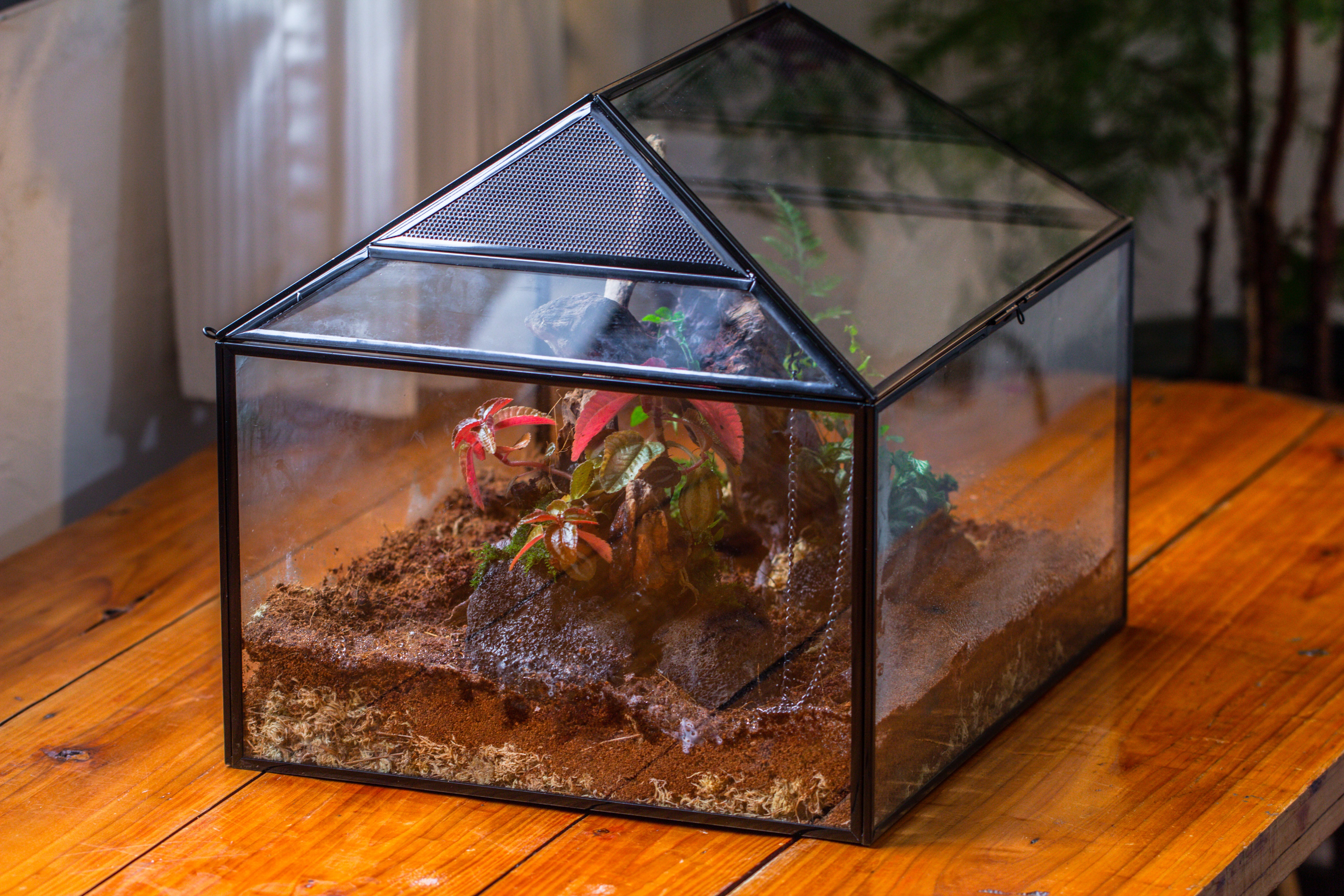 NCYP Handmade Large House Shape Geometric Glass Terrariumn 14x12x12" for Tarantulas - NCYPgarden