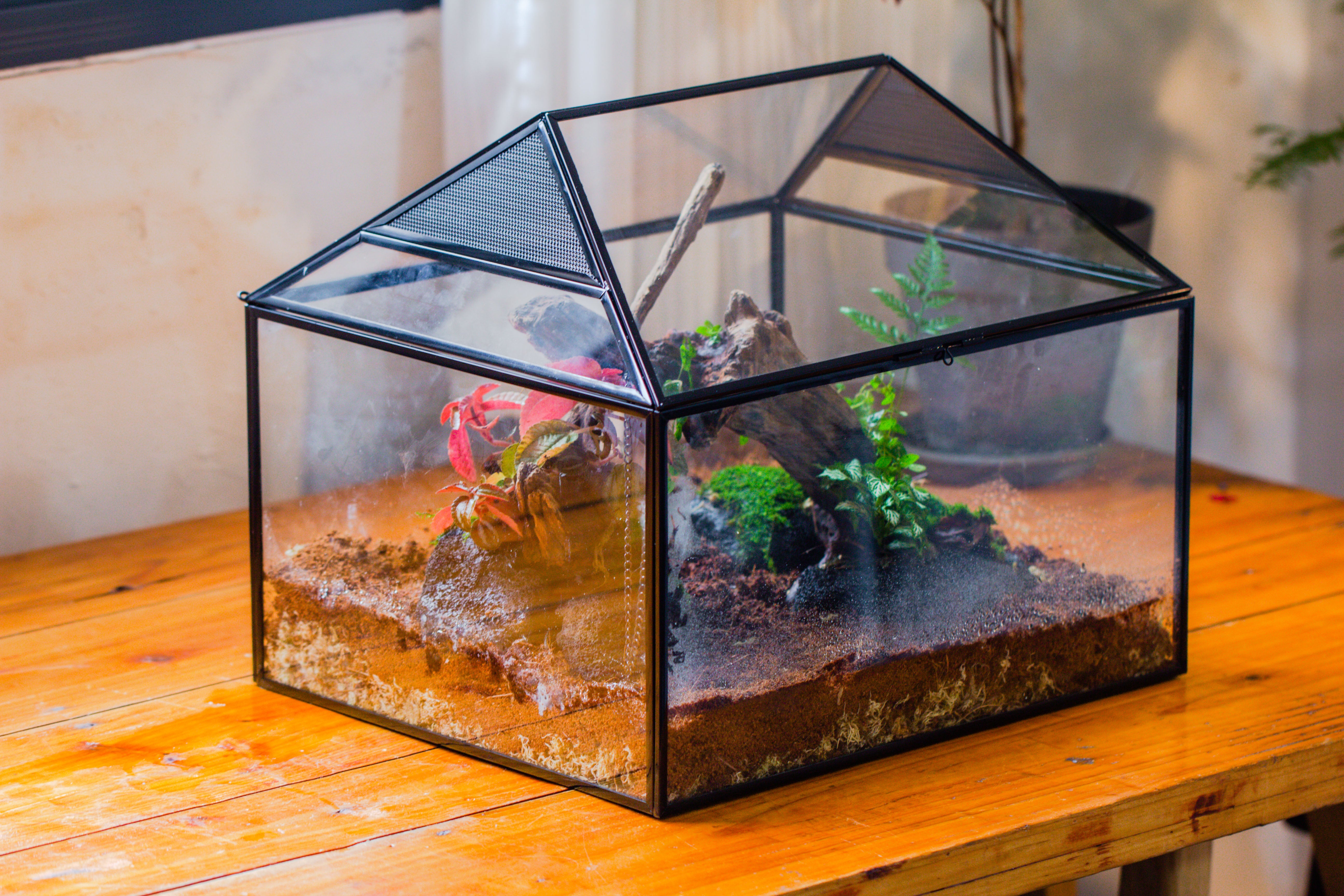 NCYP Handmade Large House Shape Geometric Glass Terrariumn 14x12x12" for Tarantulas - NCYPgarden