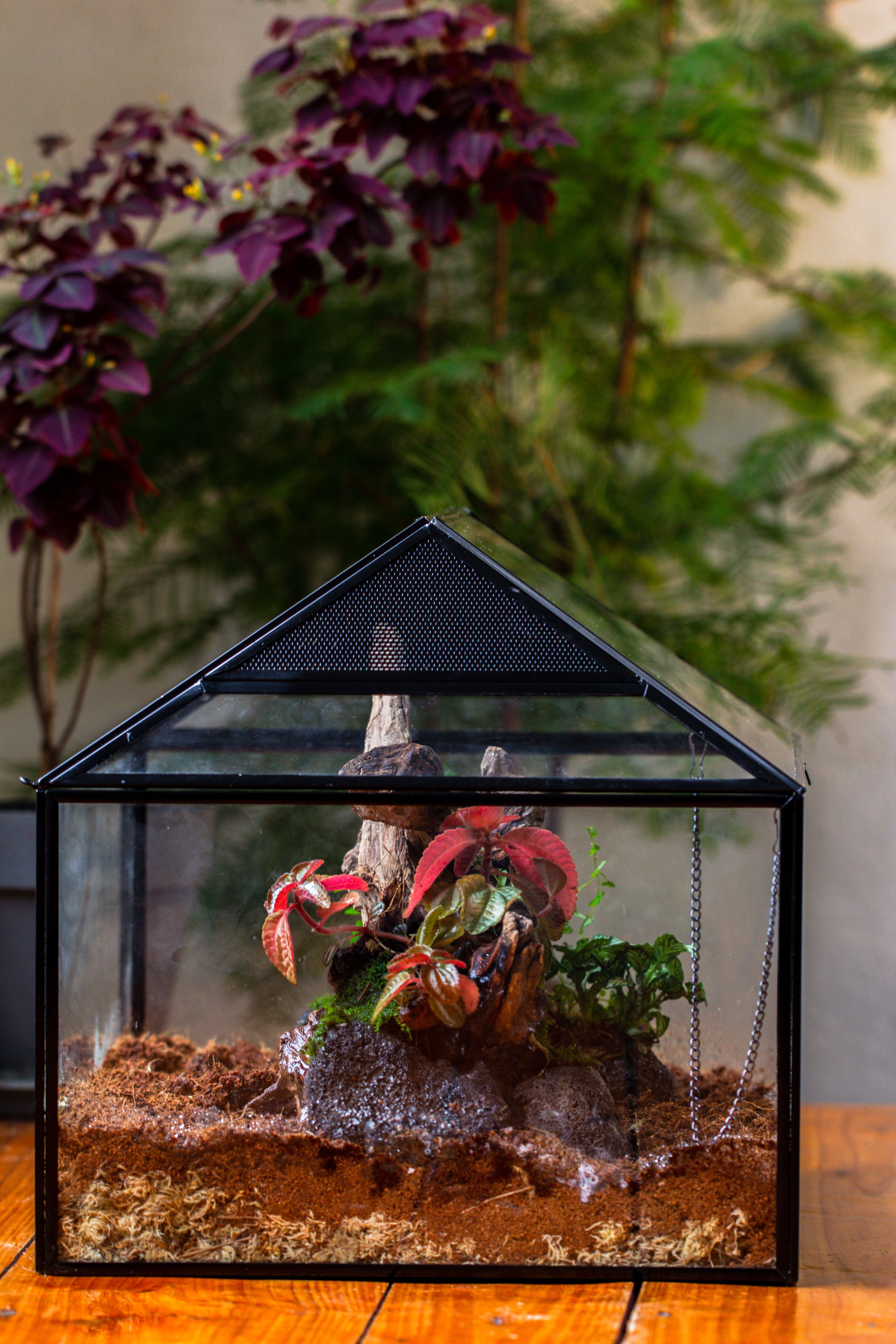 NCYP Handmade Large House Shape Geometric Glass Terrariumn 14x12x12" for Tarantulas - NCYPgarden