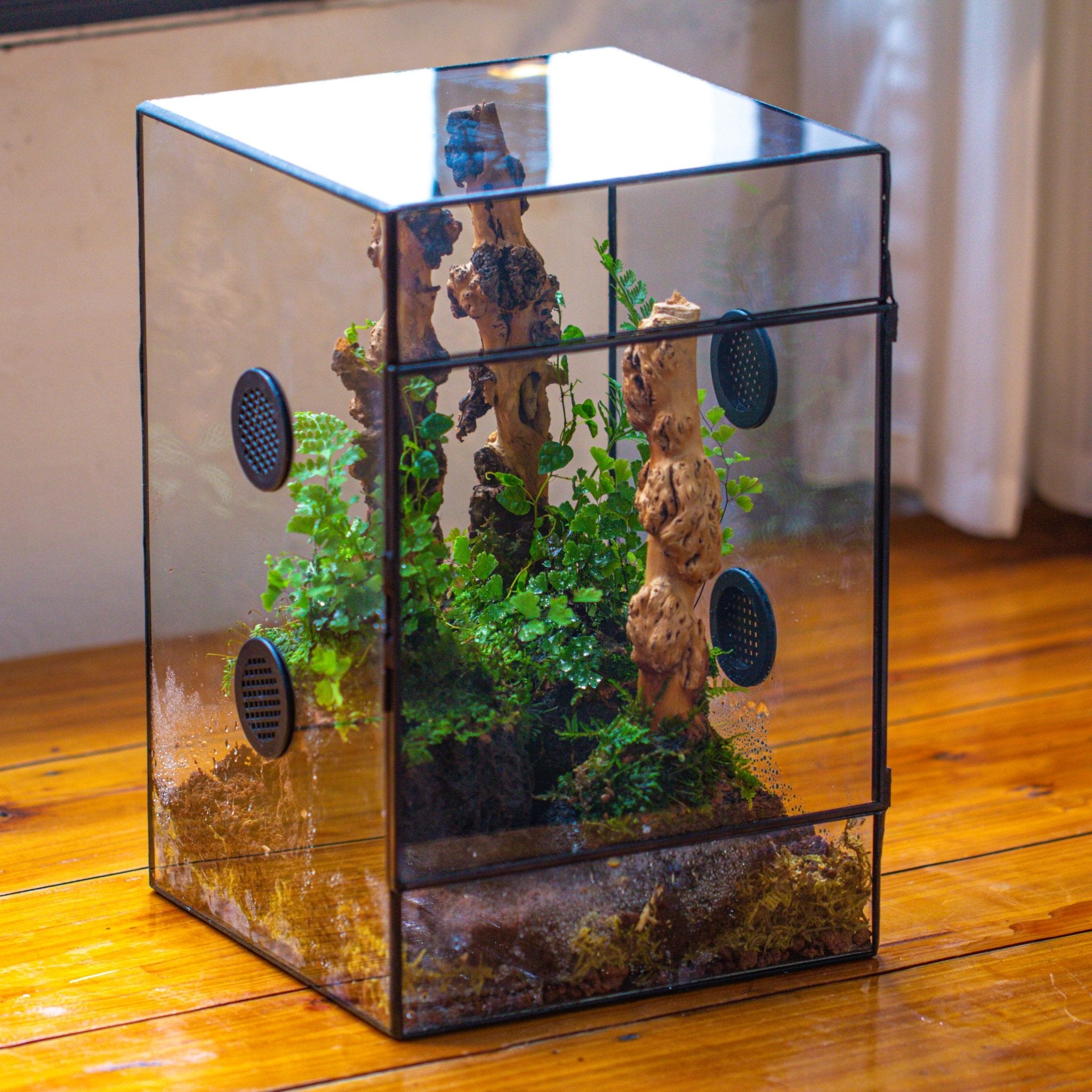 8x8x12" Tin and Glass Terrarium with 4 vents，Watertight - NCYPgarden