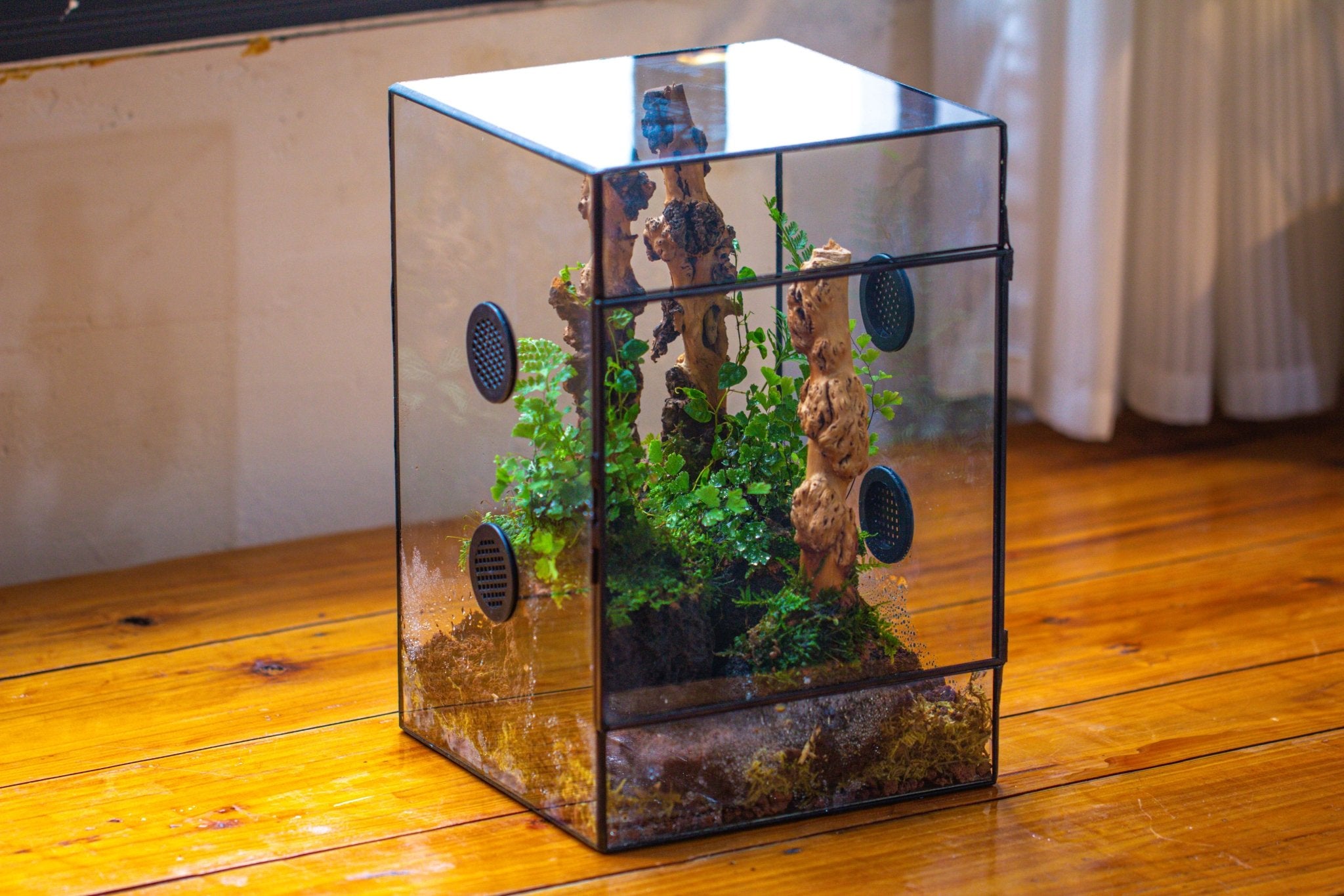 8x8x12" Tin and Glass Terrarium with 4 vents，Watertight - NCYPgarden