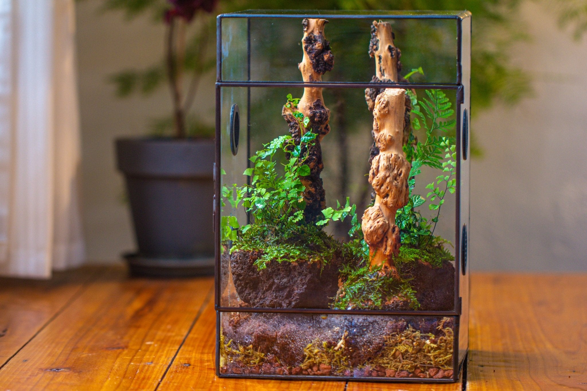 8x8x12" Tin and Glass Terrarium with 4 vents，Watertight - NCYPgarden