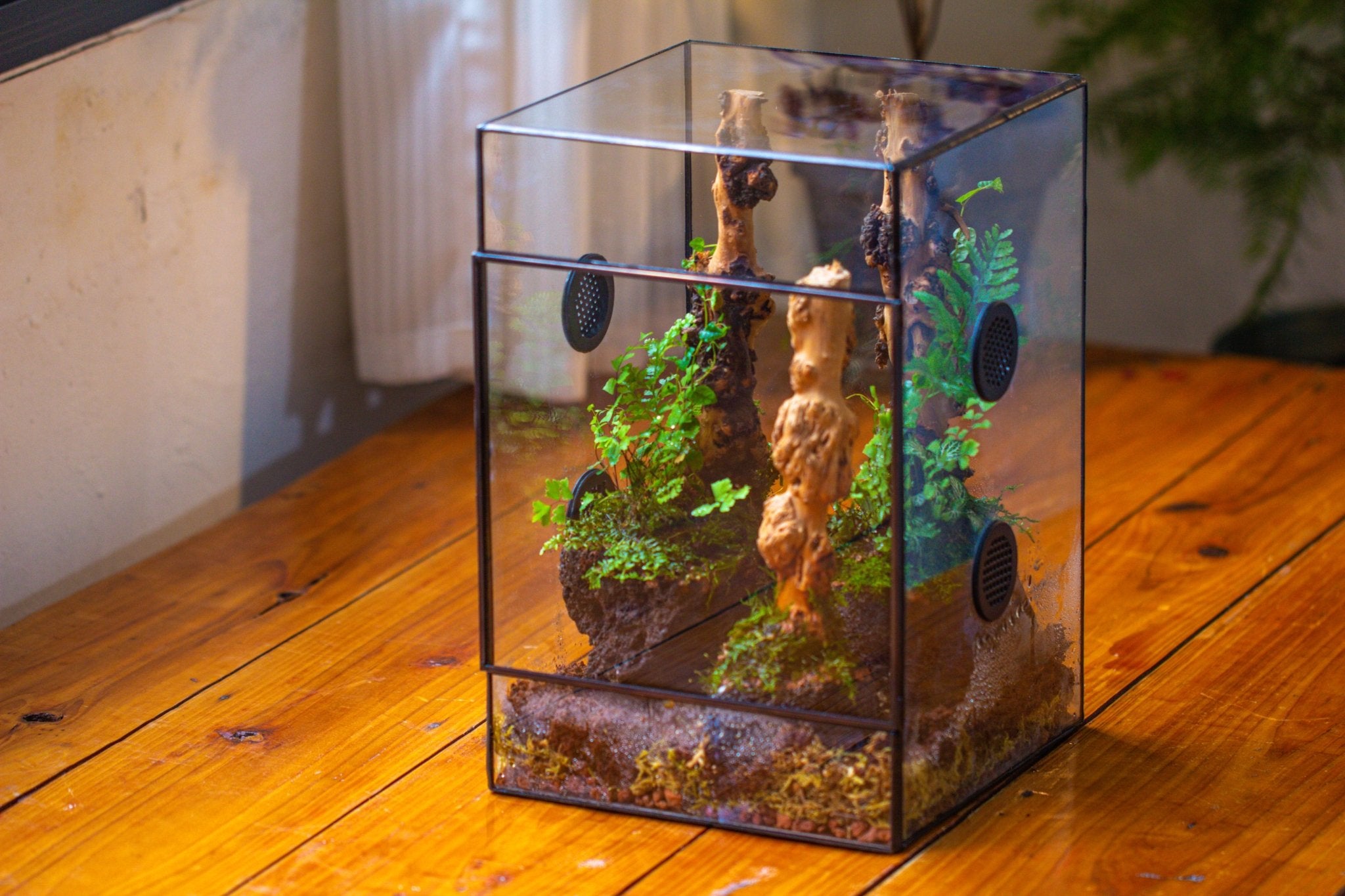 8x8x12" Tin and Glass Terrarium with 4 vents，Watertight - NCYPgarden