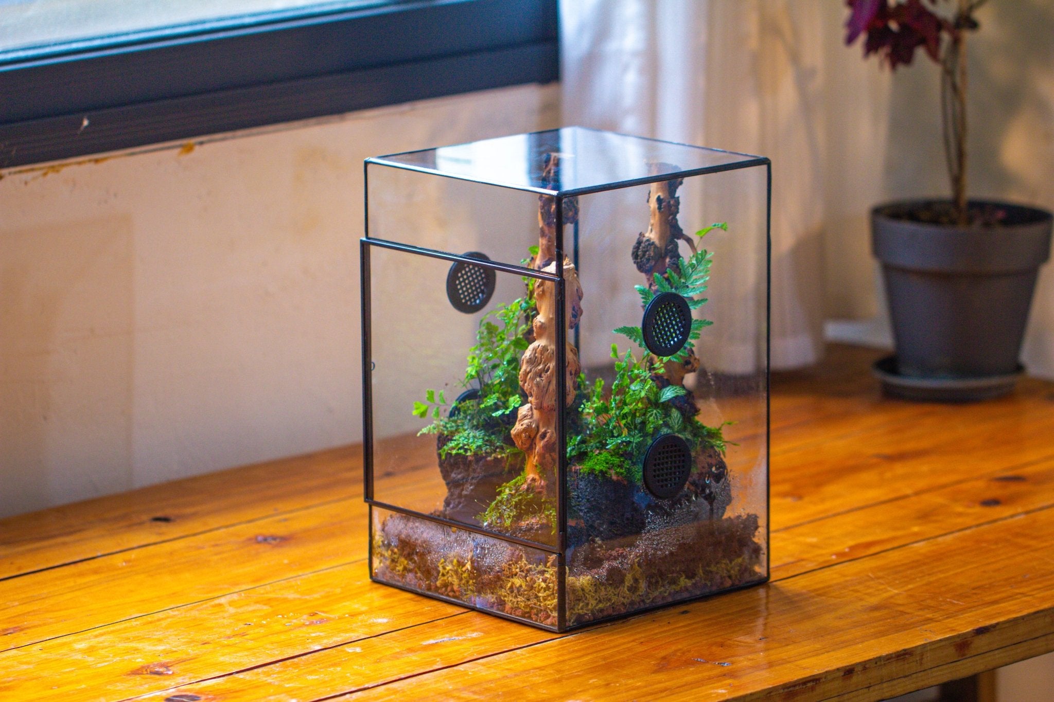 8x8x12" Tin and Glass Terrarium with 4 vents，Watertight - NCYPgarden