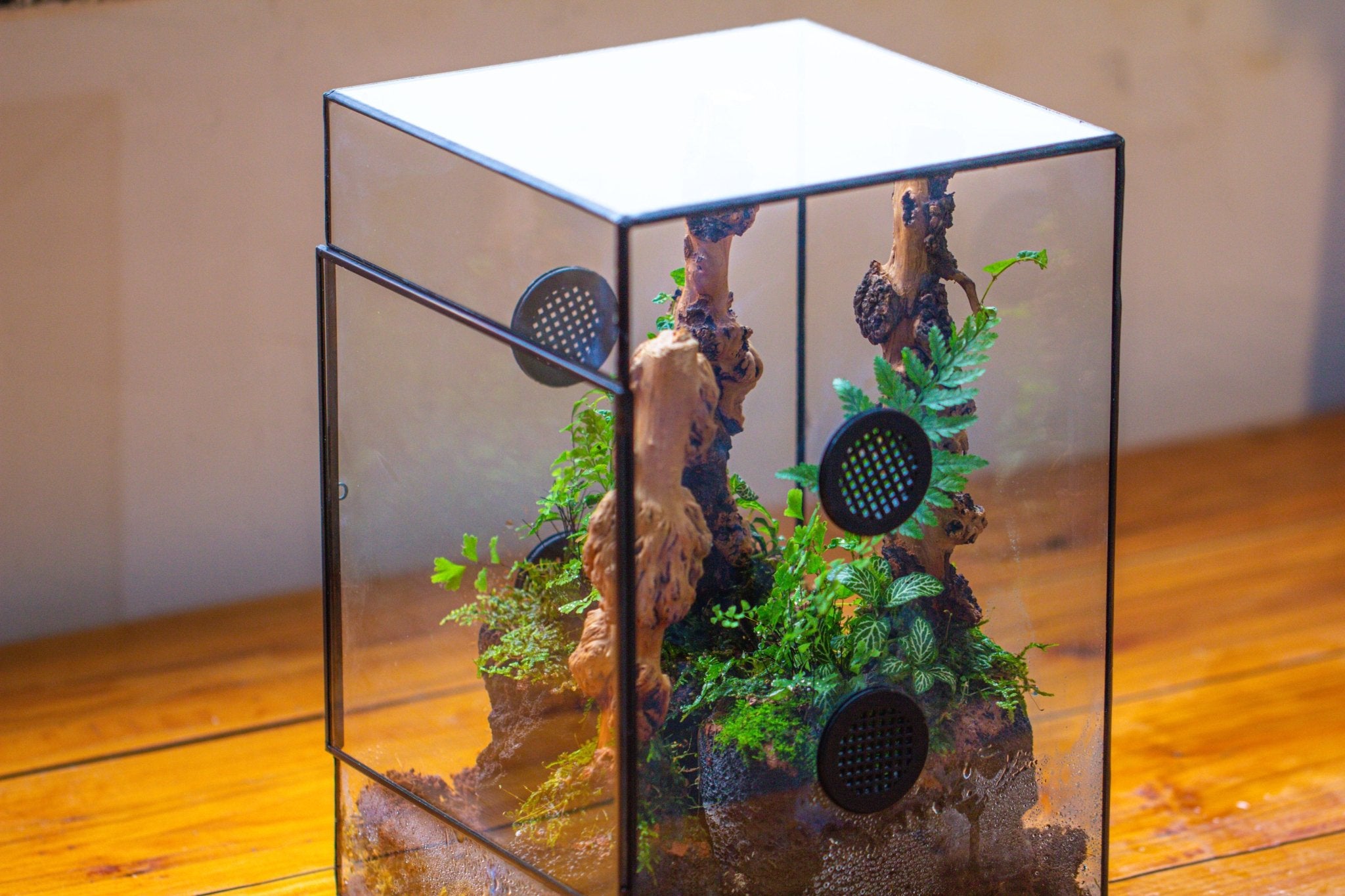 8x8x12" Tin and Glass Terrarium with 4 vents，Watertight - NCYPgarden