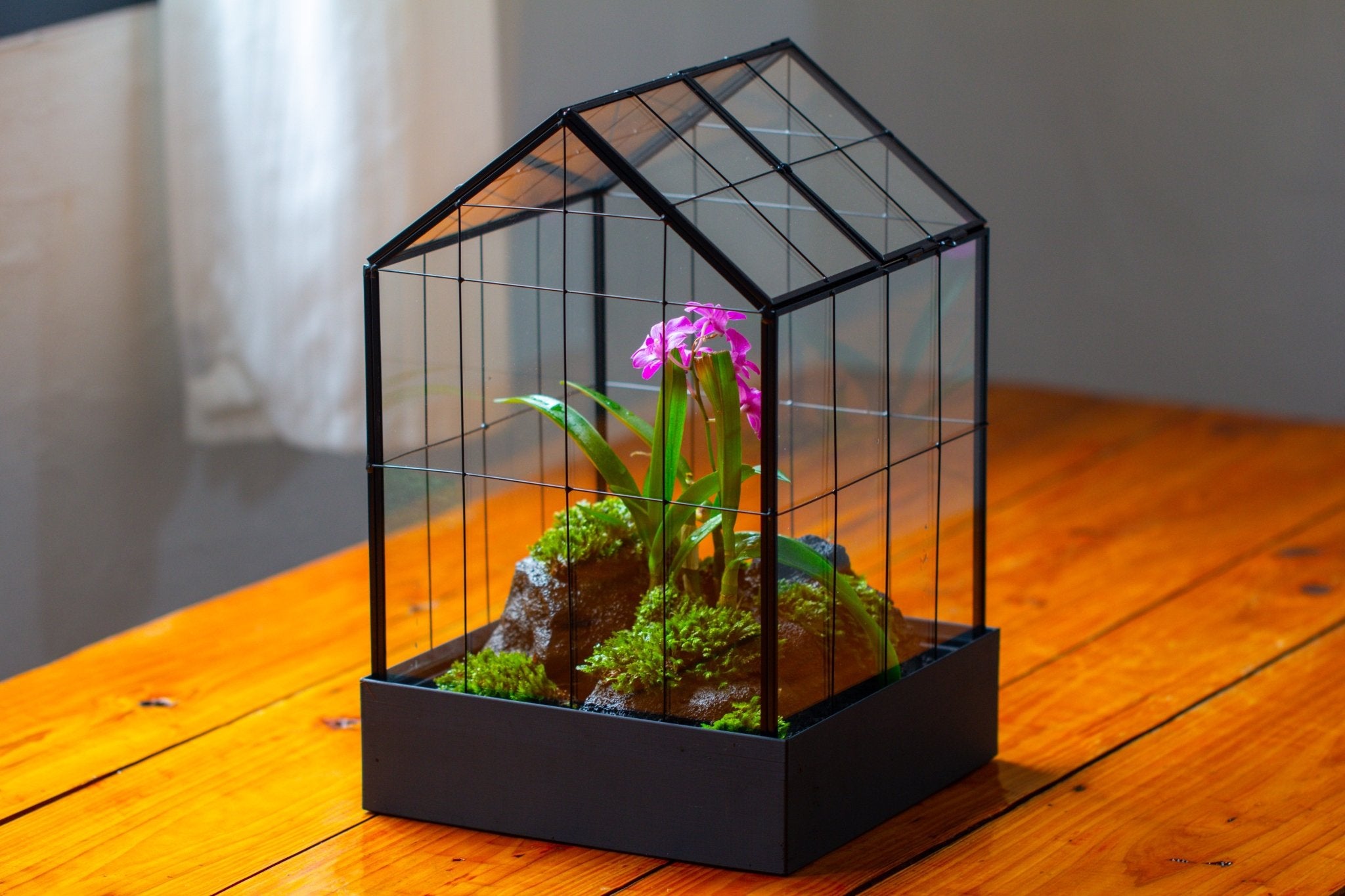 11” Vintage Greenhouse Glass Terrarium with Water - Holding Tray and Top Door - NCYPgarden