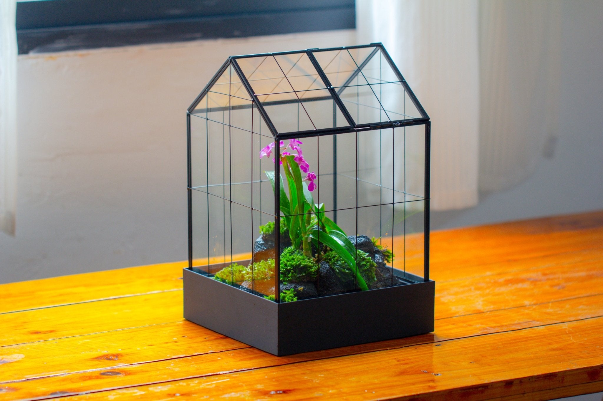 11” Vintage Greenhouse Glass Terrarium with Water - Holding Tray and Top Door - NCYPgarden