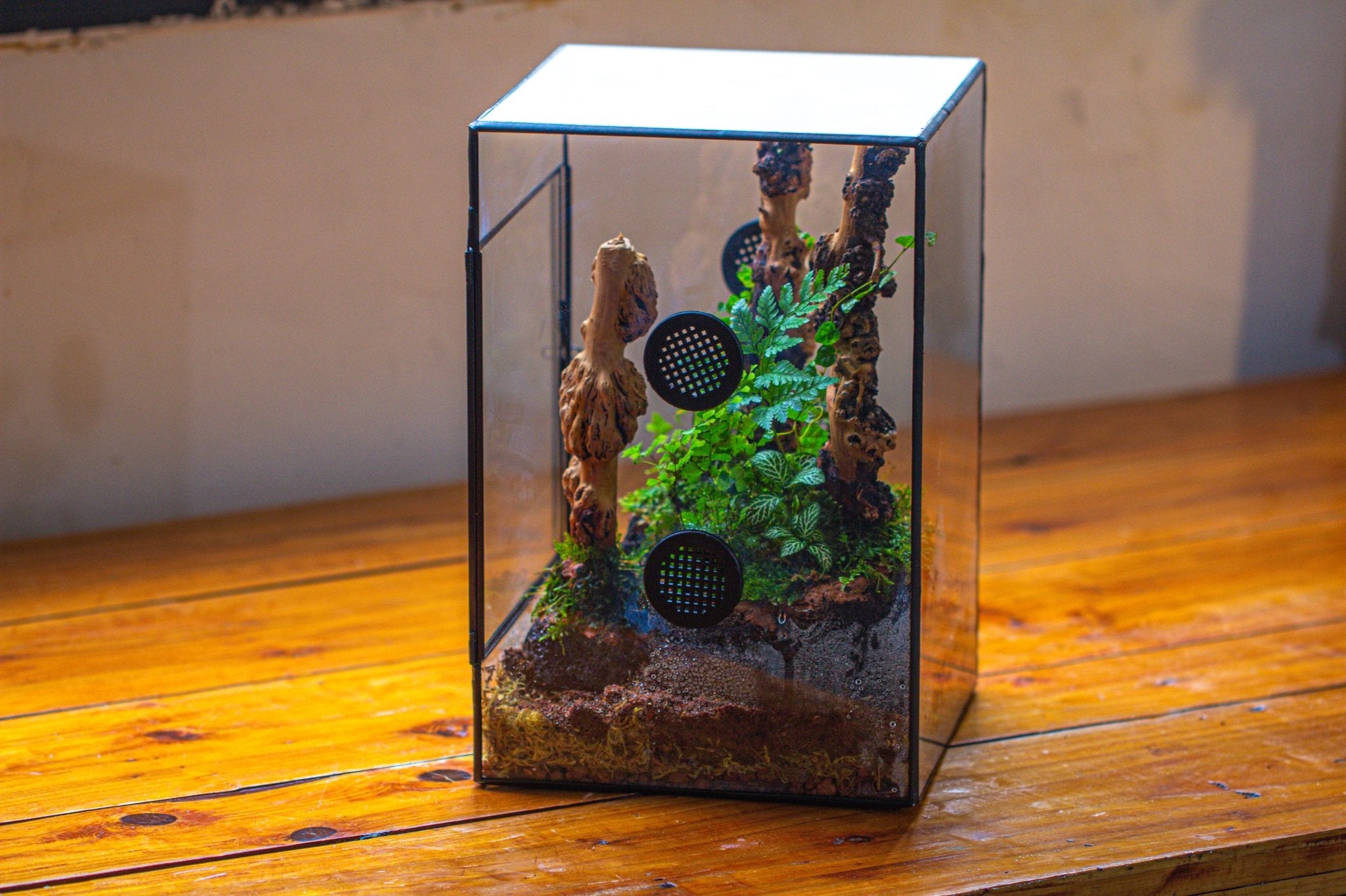 8x8x12" Tin and Glass Terrarium with 4 vents，Watertight - NCYPgarden