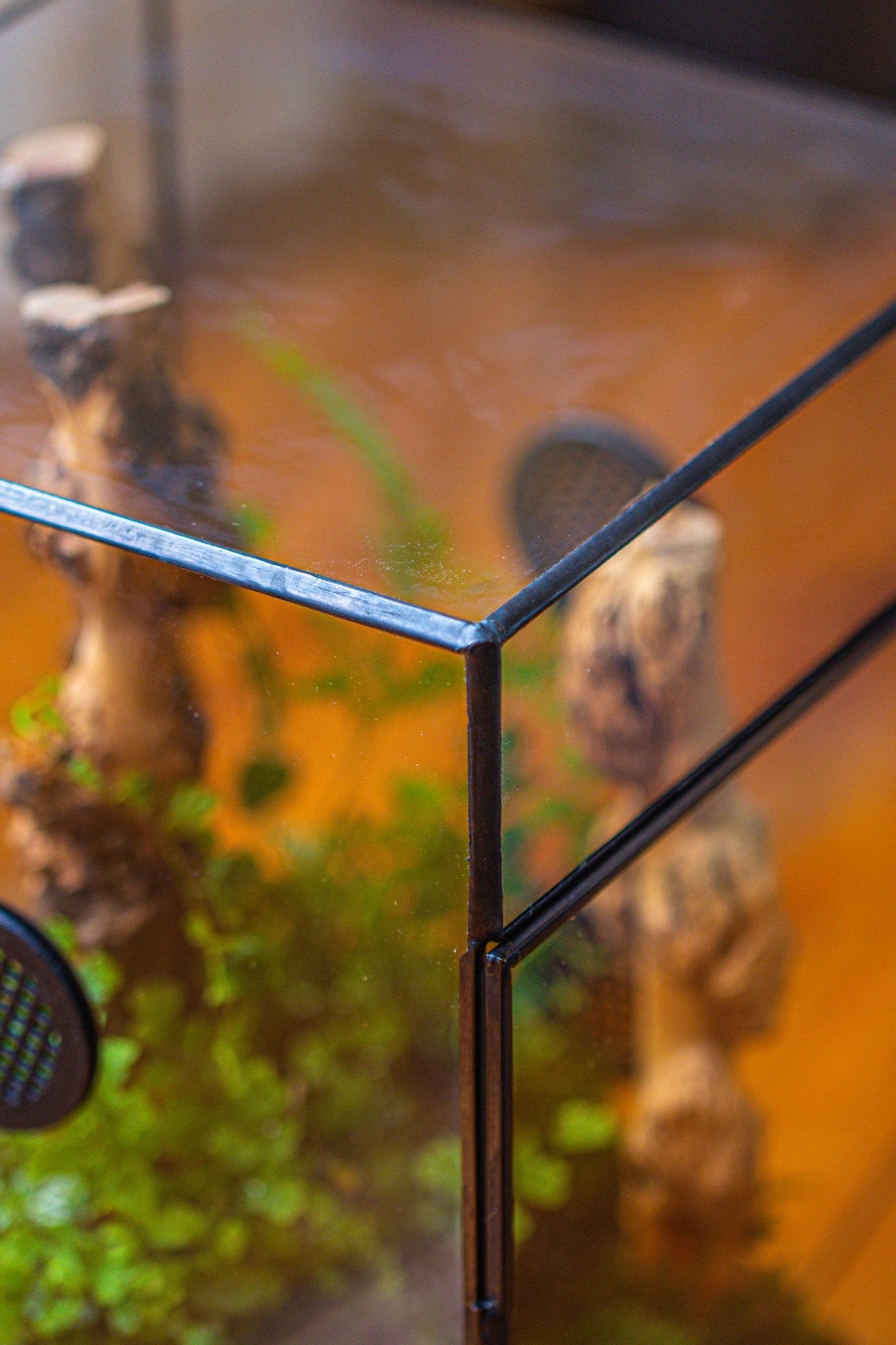 8x8x12" Tin and Glass Terrarium with 4 vents，Watertight - NCYPgarden