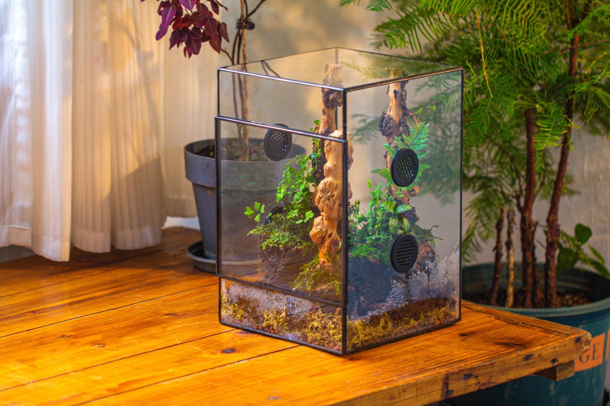 8x8x12" Tin and Glass Terrarium with 4 vents，Watertight - NCYPgarden