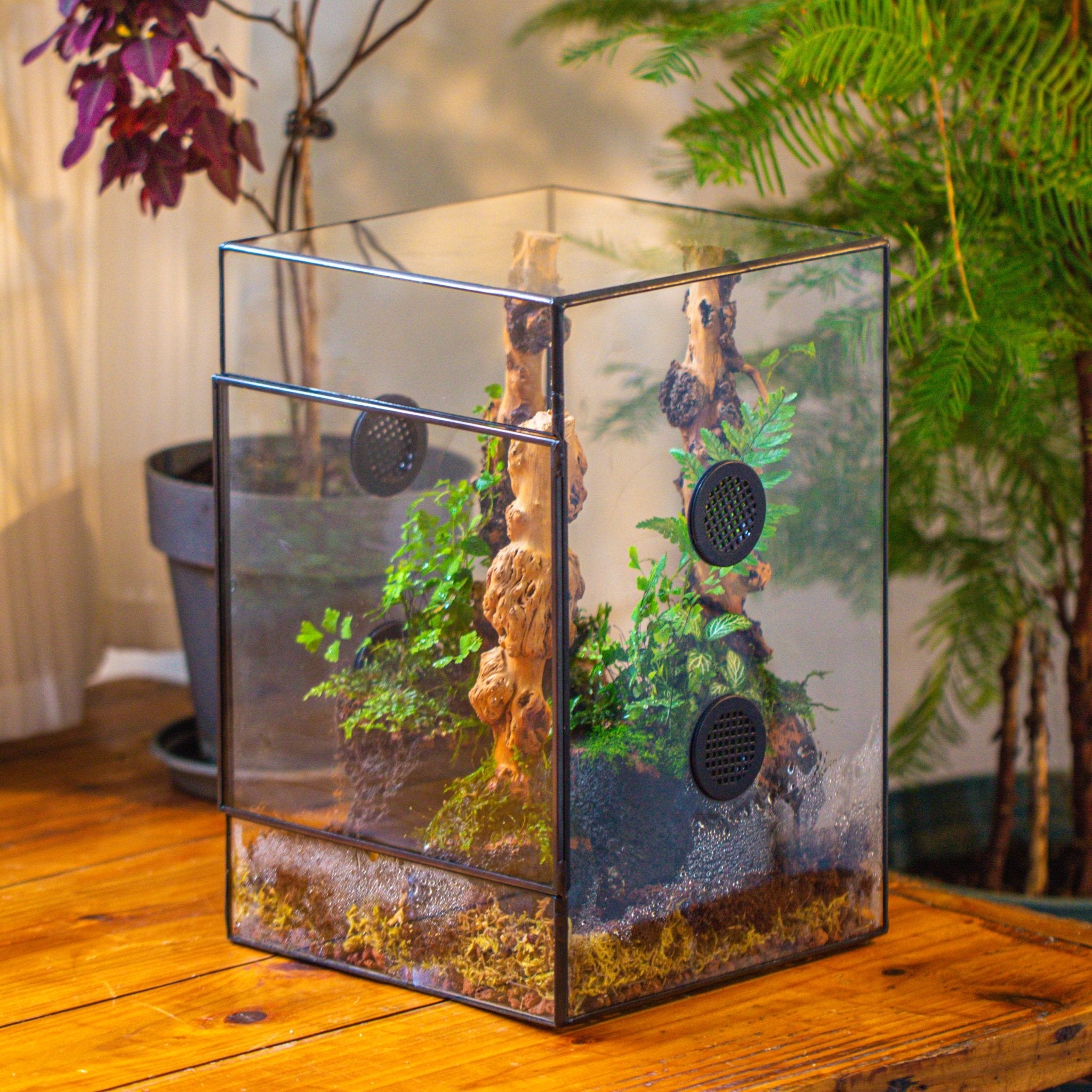 8x8x12" Tin and Glass Terrarium with 4 vents，Watertight - NCYPgarden