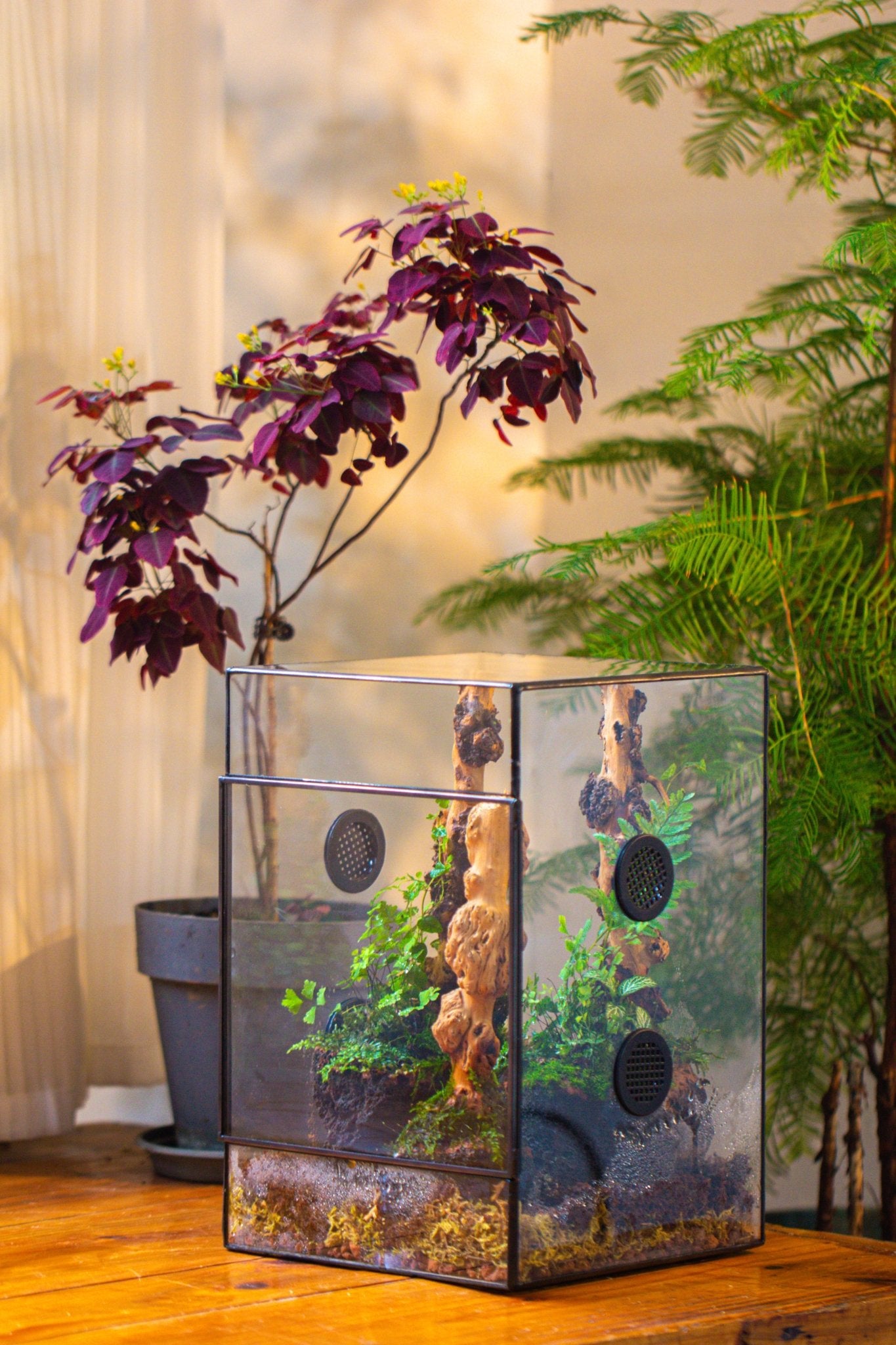 8x8x12" Tin and Glass Terrarium with 4 vents，Watertight - NCYPgarden