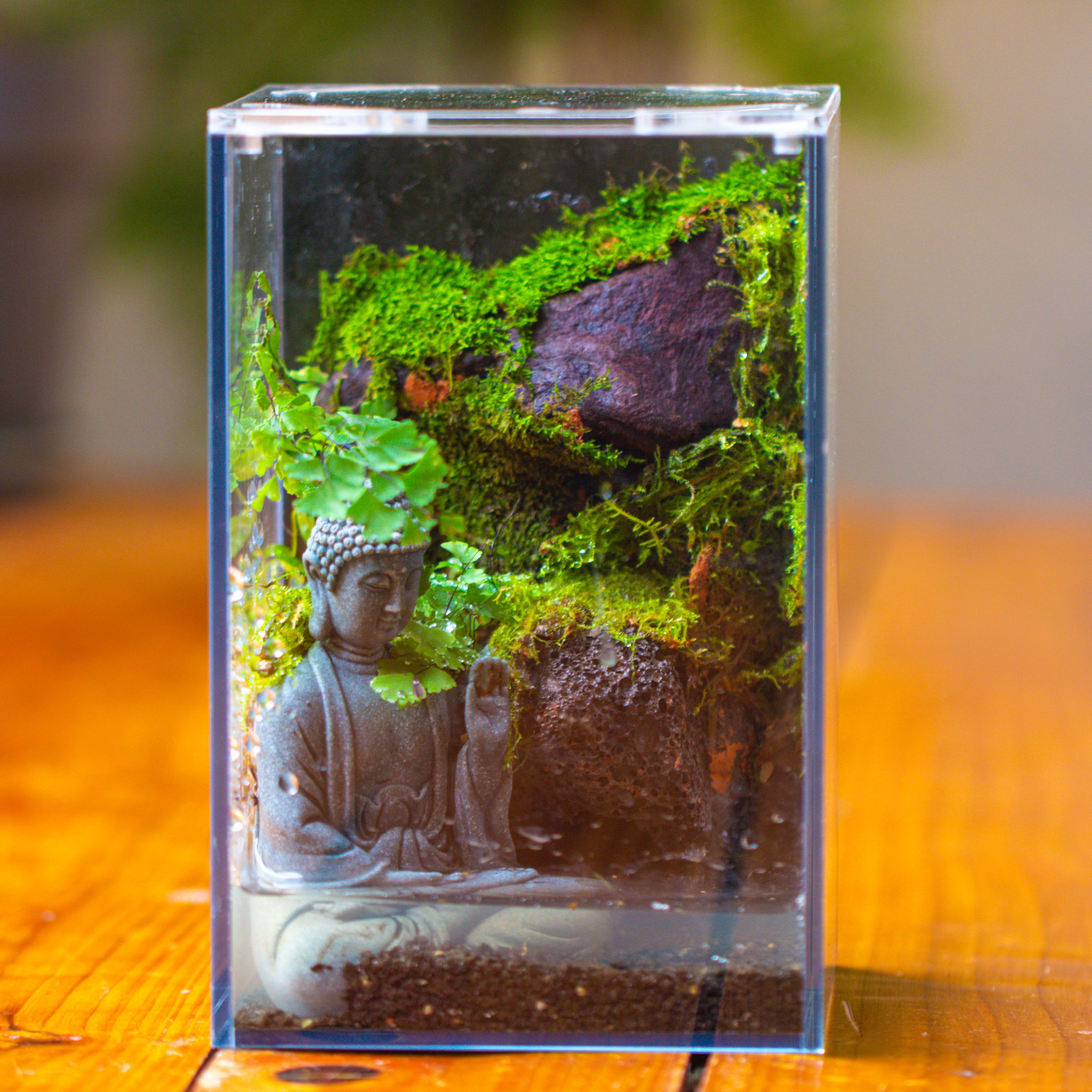 Watertight Glass Terrarium with LED Grow Light, Acrylic Lid for Moss Wall, vertical planting-12x12x18cm / 4.7x4.7x7.1'' - NCYPgarden
