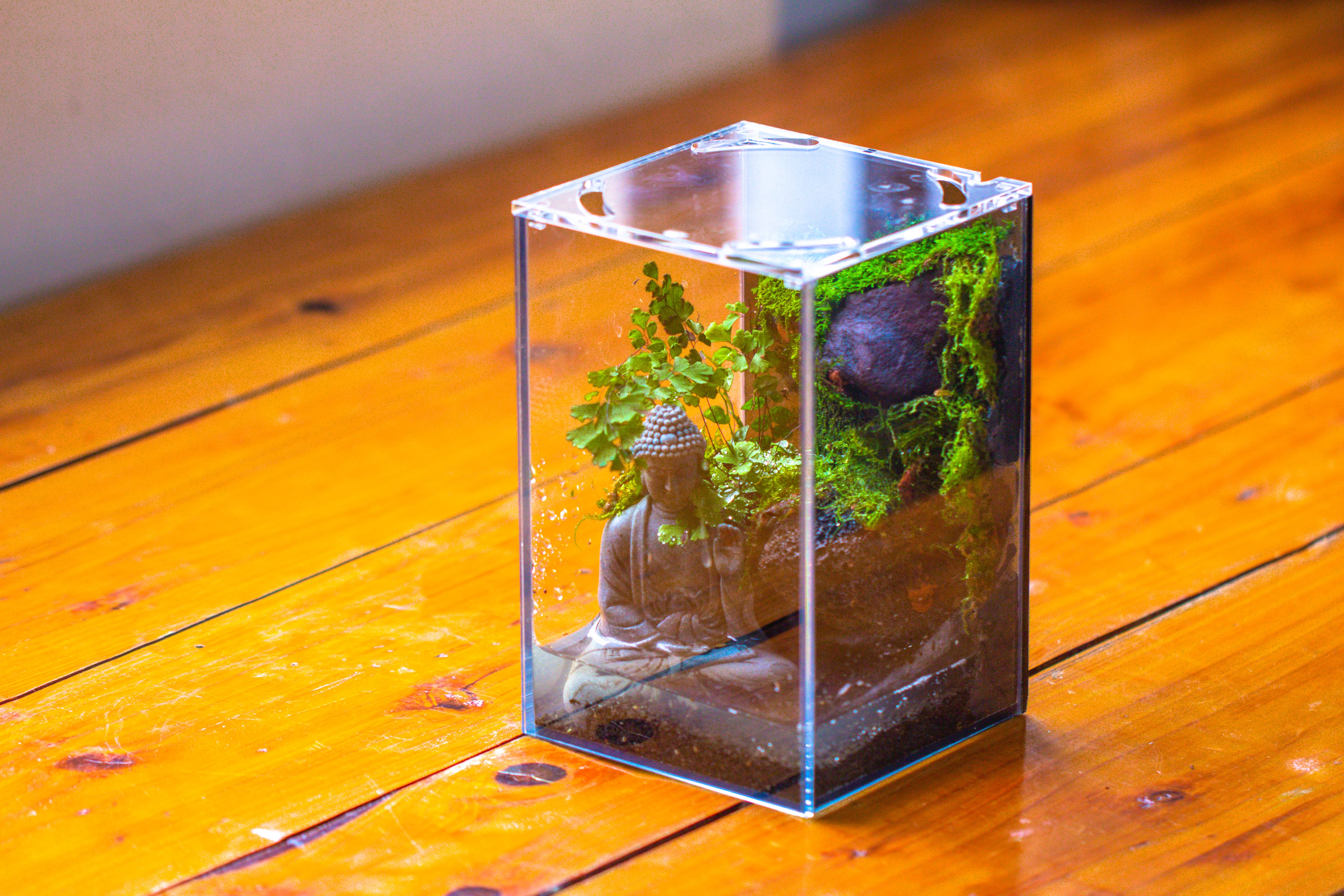 Watertight Glass Terrarium with LED Grow Light, Acrylic Lid for Moss Wall, vertical planting-12x12x18cm / 4.7x4.7x7.1'' - NCYPgarden