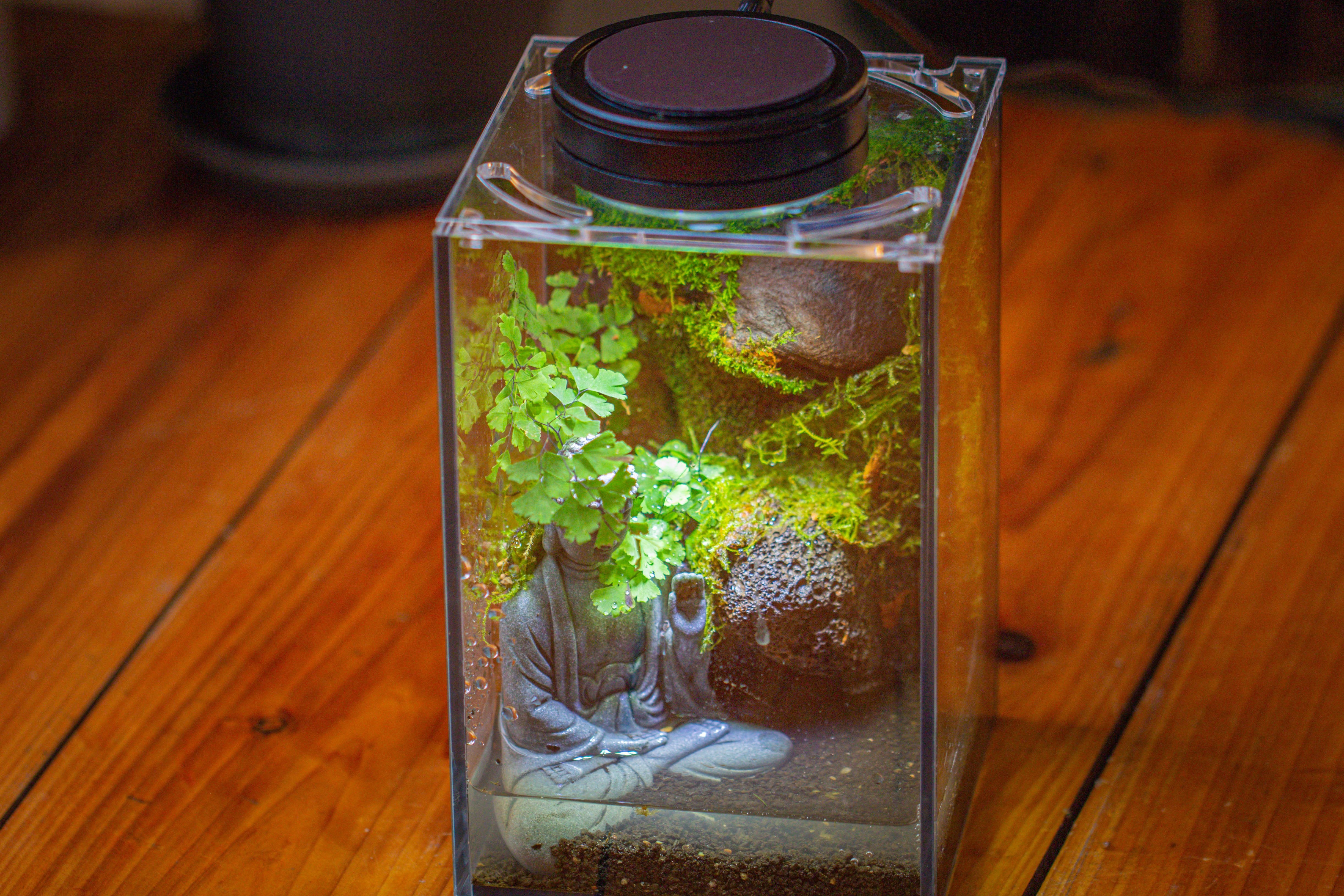 Watertight Glass Terrarium with LED Grow Light, Acrylic Lid for Moss Wall, vertical planting-12x12x18cm / 4.7x4.7x7.1'' - NCYPgarden