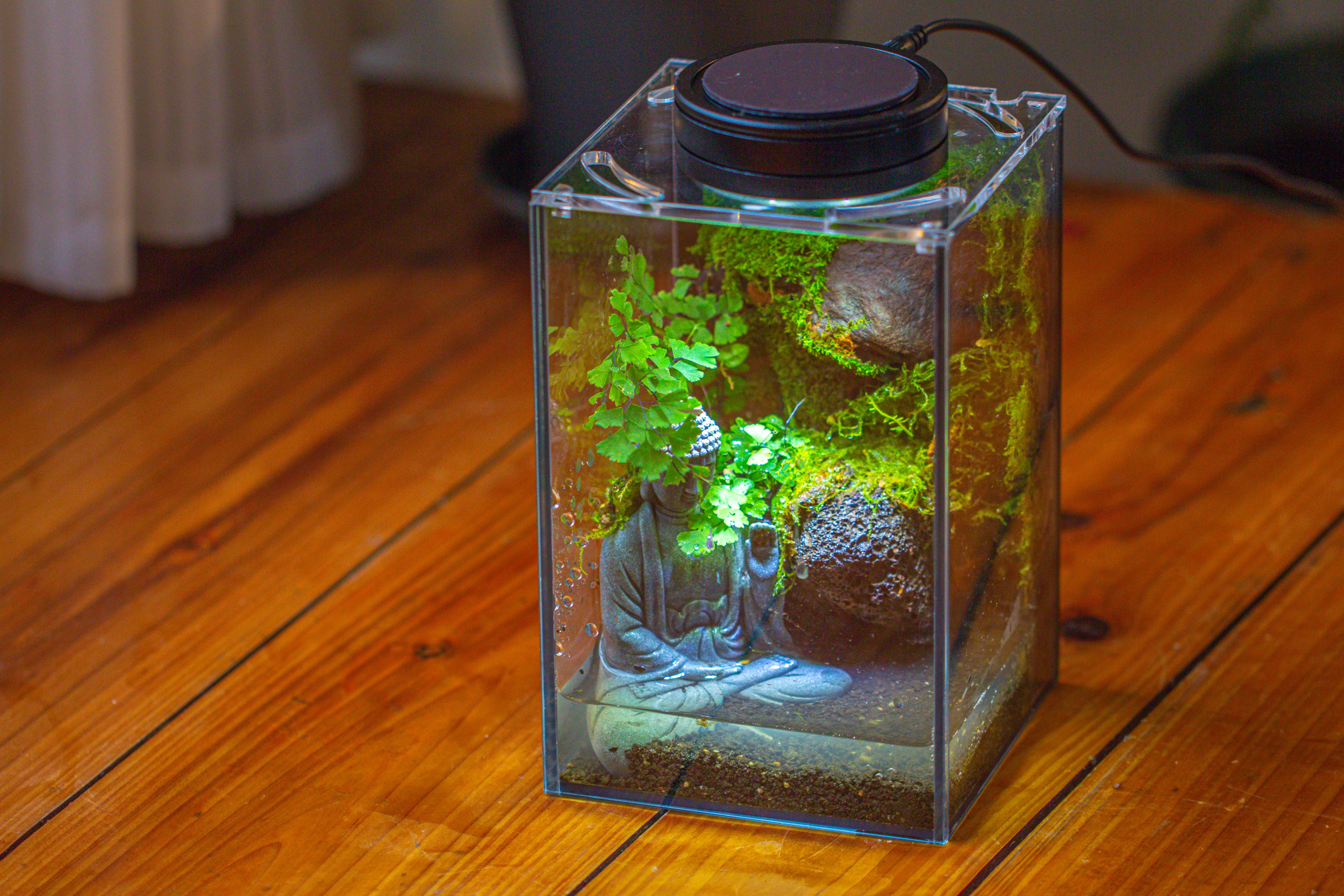Watertight Glass Terrarium with LED Grow Light, Acrylic Lid for Moss Wall, vertical planting-12x12x18cm / 4.7x4.7x7.1'' - NCYPgarden