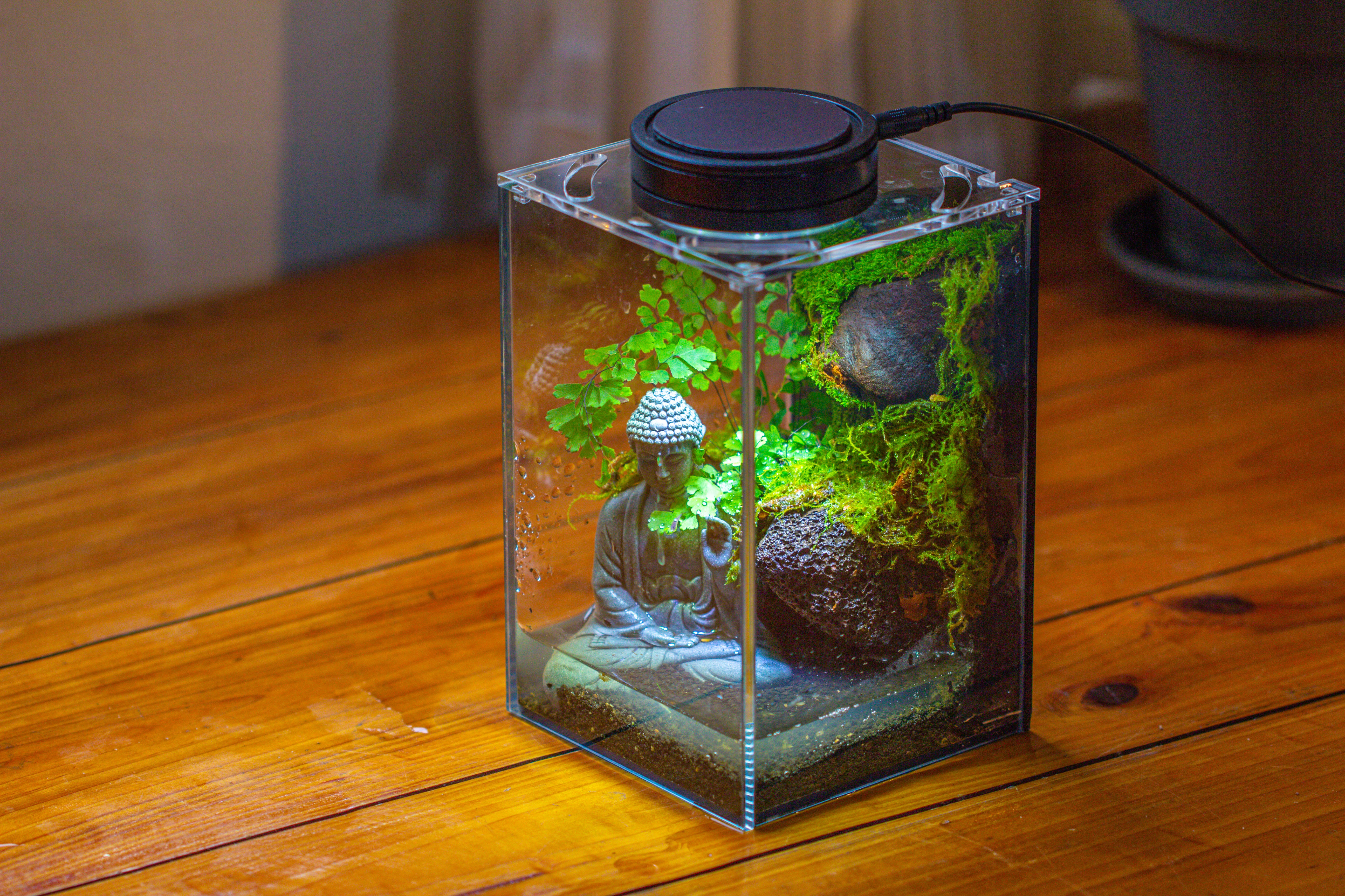 Watertight Glass Terrarium with LED Grow Light, Acrylic Lid for Moss Wall, vertical planting-12x12x18cm / 4.7x4.7x7.1'' - NCYPgarden