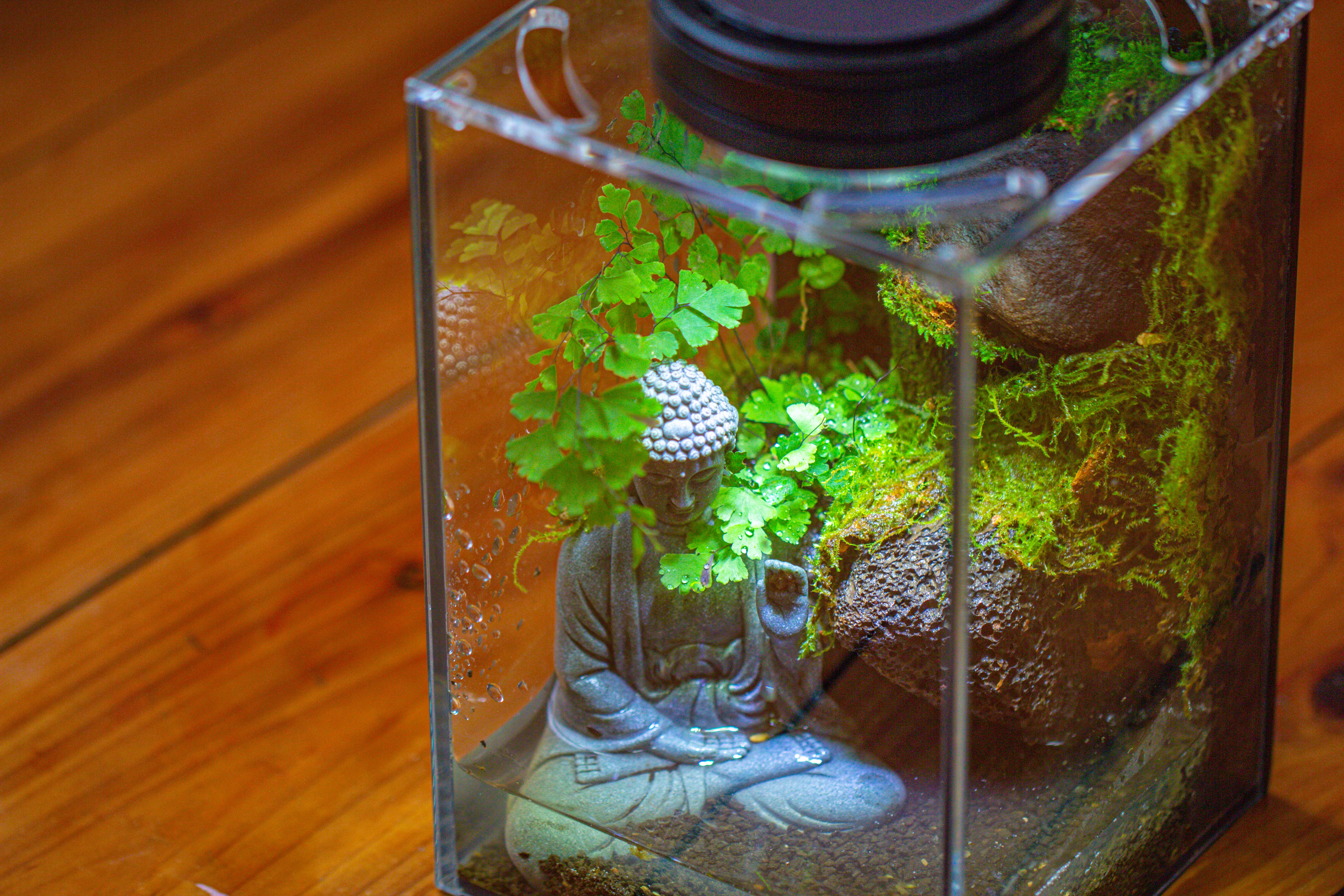 Watertight Glass Terrarium with LED Grow Light, Acrylic Lid for Moss Wall, vertical planting-12x12x18cm / 4.7x4.7x7.1'' - NCYPgarden