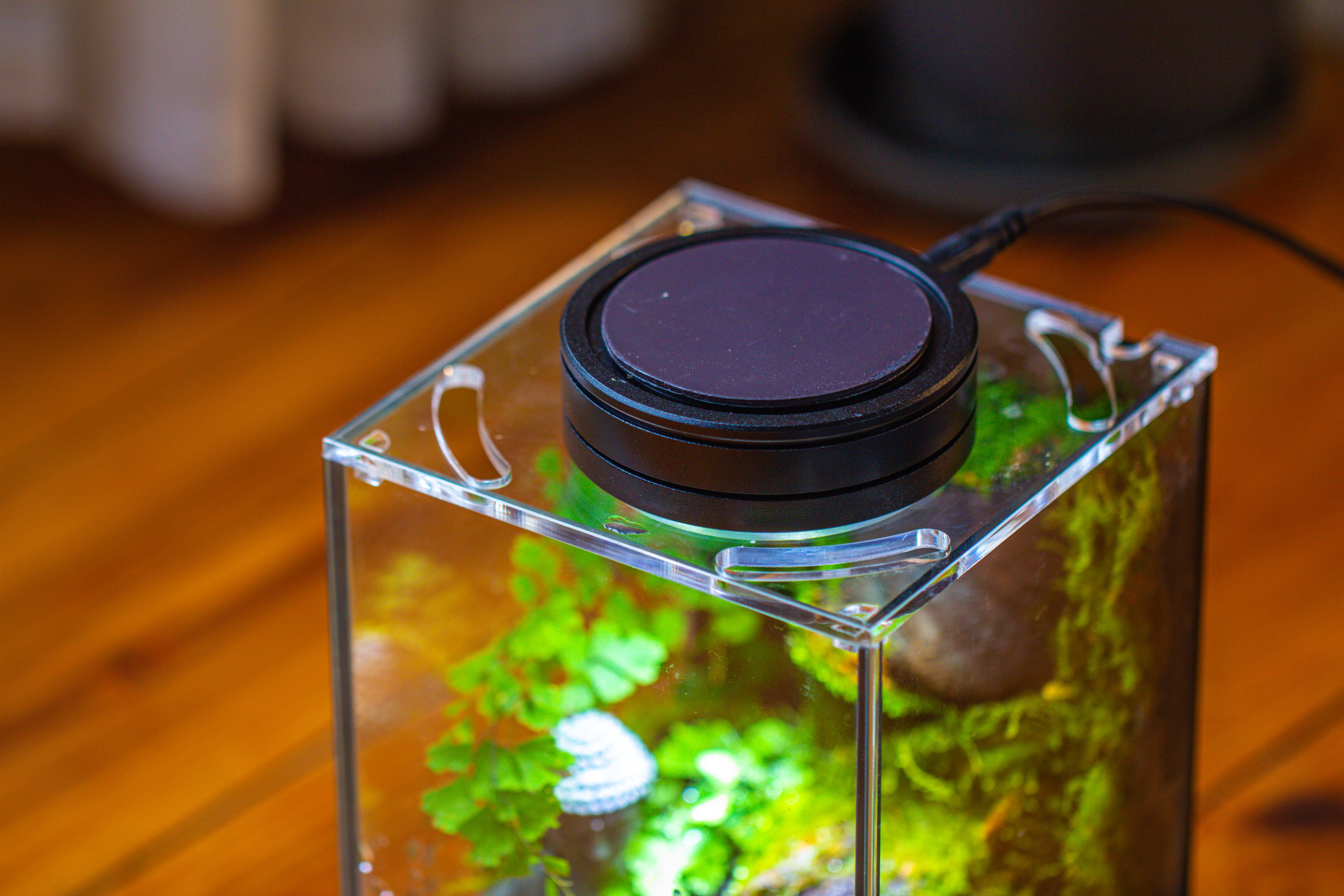 Watertight Glass Terrarium with LED Grow Light, Acrylic Lid for Moss Wall, vertical planting-12x12x18cm / 4.7x4.7x7.1'' - NCYPgarden