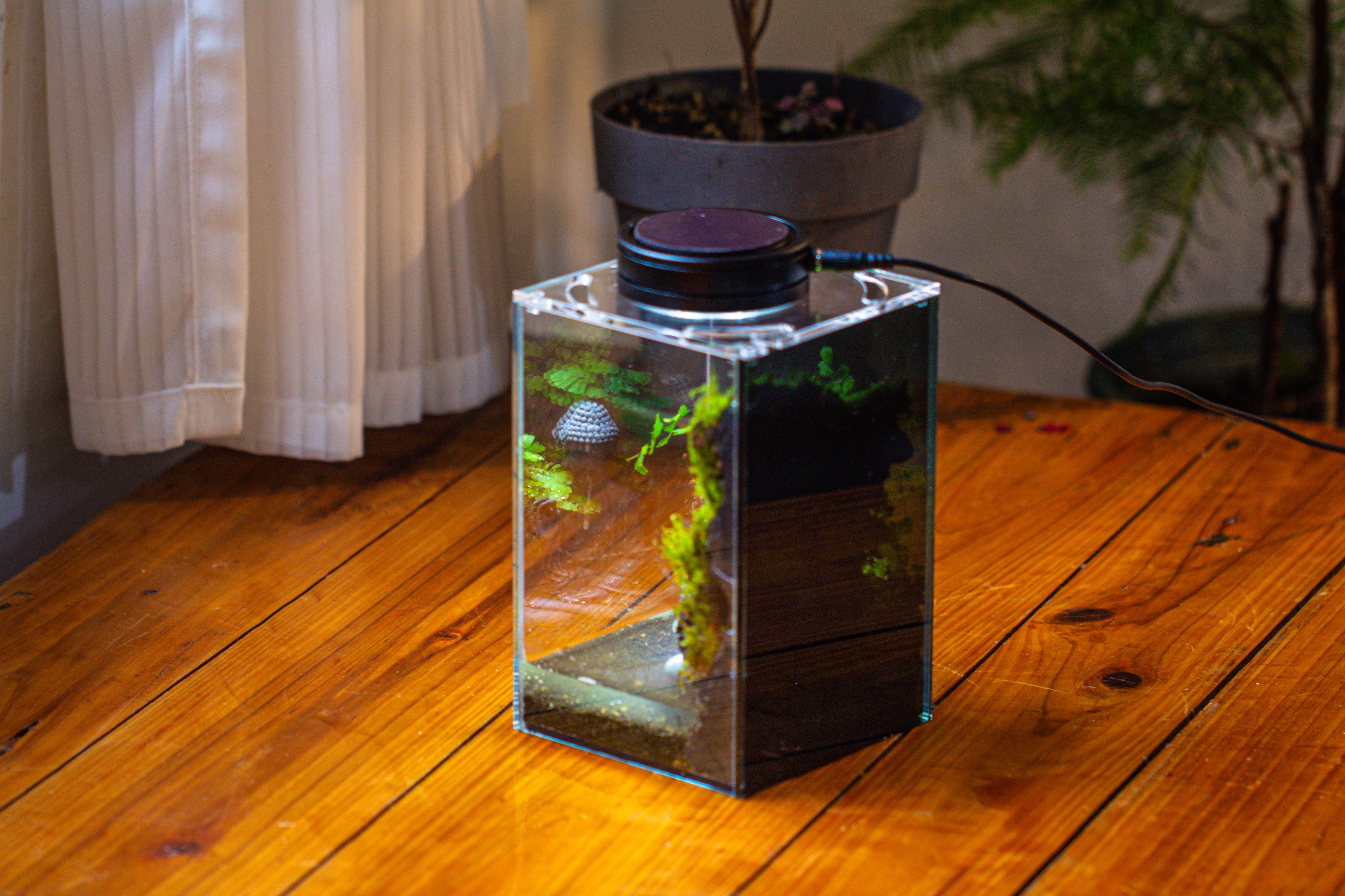 Watertight Glass Terrarium with LED Grow Light, Acrylic Lid for Moss Wall, vertical planting-12x12x18cm / 4.7x4.7x7.1'' - NCYPgarden