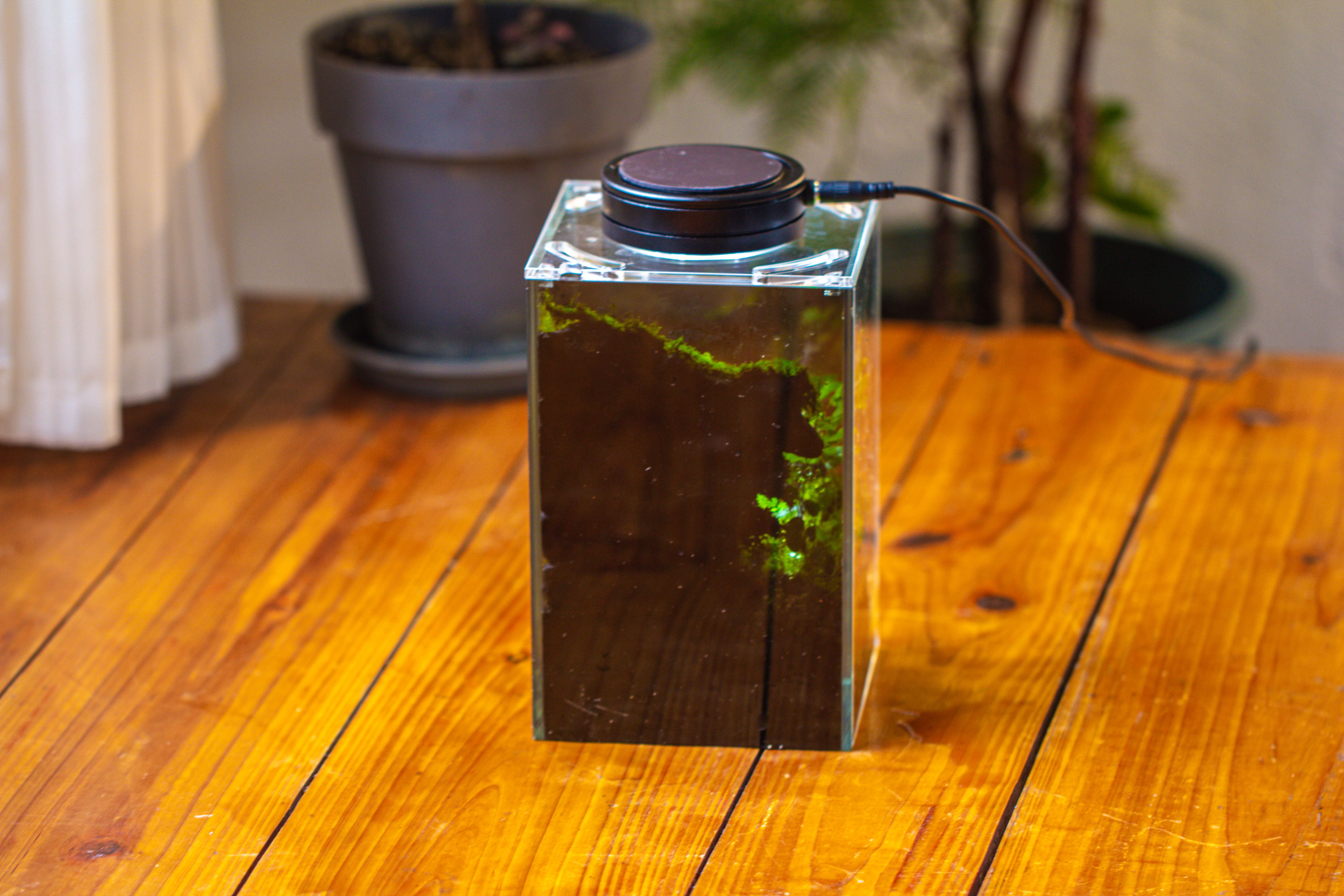 Watertight Glass Terrarium with LED Grow Light, Acrylic Lid for Moss Wall, vertical planting-12x12x18cm / 4.7x4.7x7.1'' - NCYPgarden