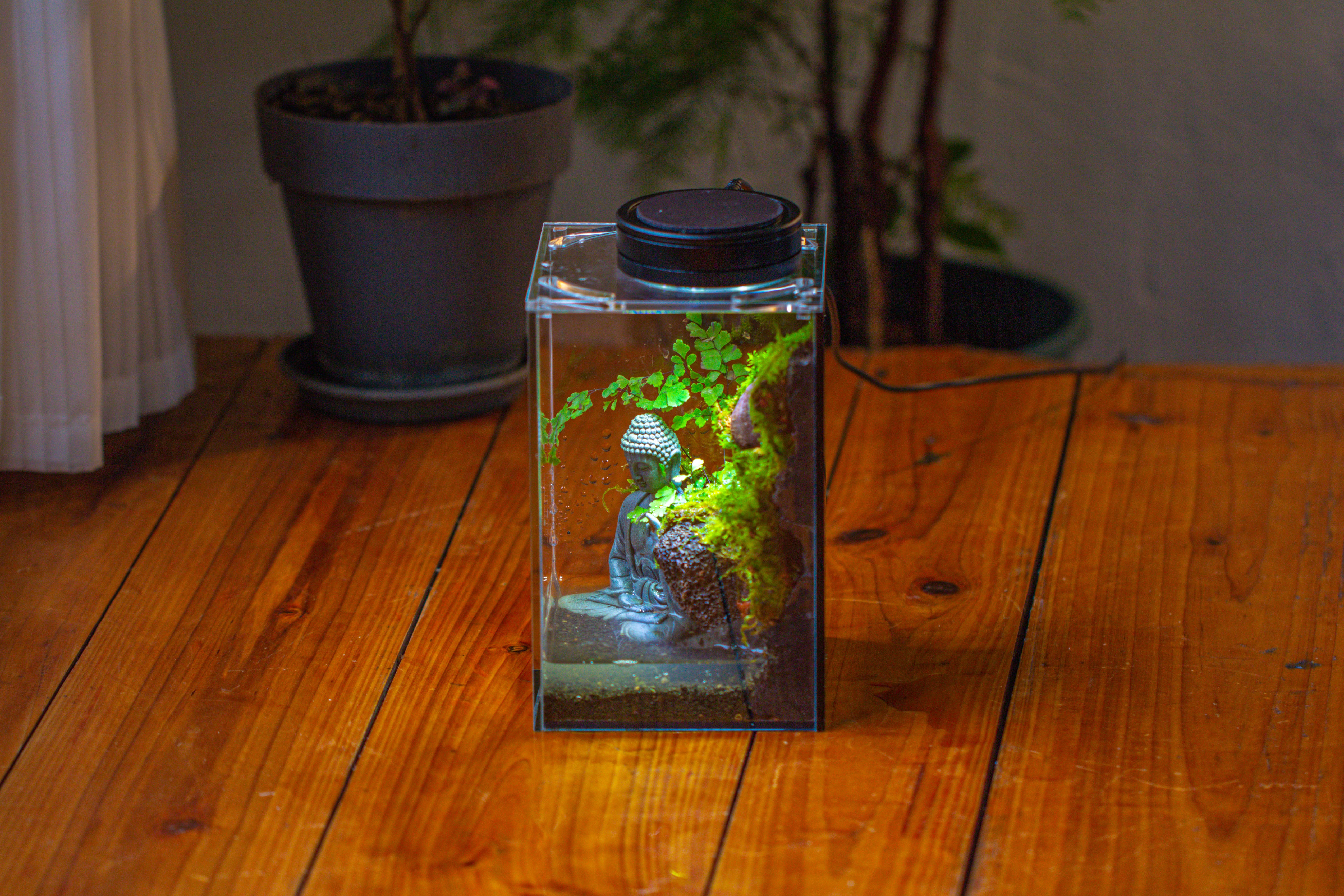 Watertight Glass Terrarium with LED Grow Light, Acrylic Lid for Moss Wall, vertical planting-12x12x18cm / 4.7x4.7x7.1'' - NCYPgarden