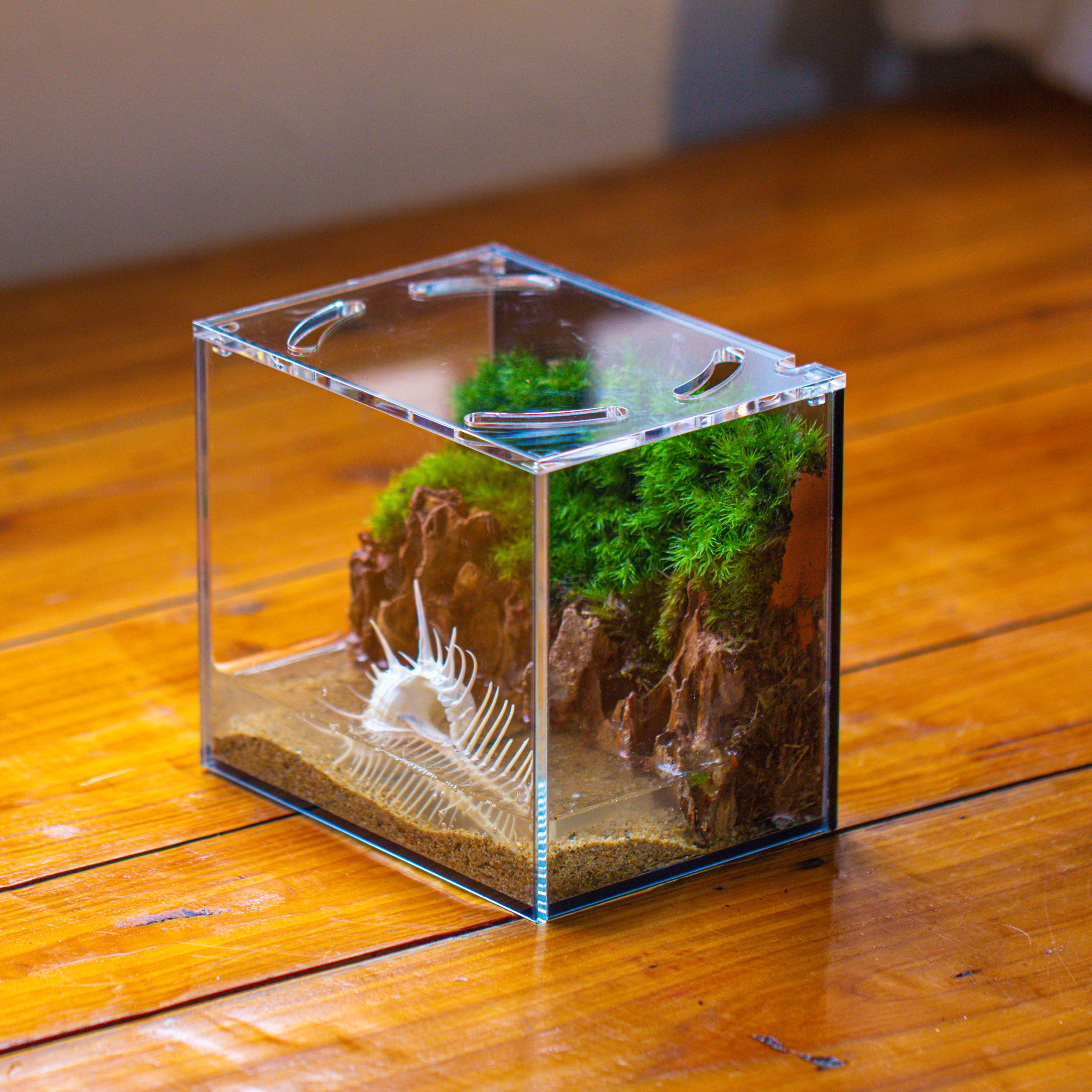 Watertight Glass Terrarium with LED Grow Light, Acrylic Lid for Moss Wall, vertical planting -15x11x13cm / 5.9x4.3x5.1'' - NCYPgarden