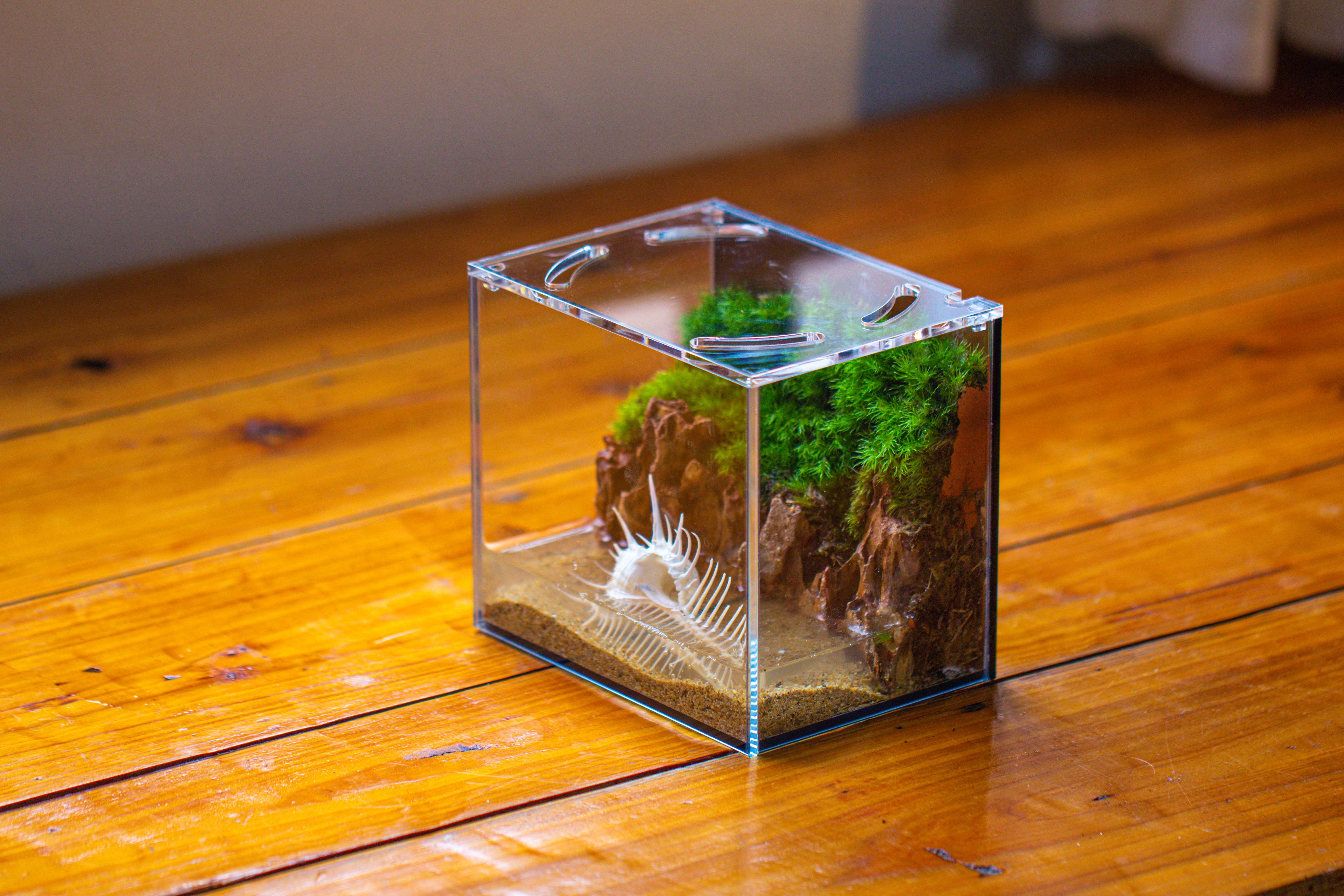 Watertight Glass Terrarium with LED Grow Light, Acrylic Lid for Moss Wall, vertical planting-15x11x13cm / 5.9x4.3x5.1'' - NCYPgarden