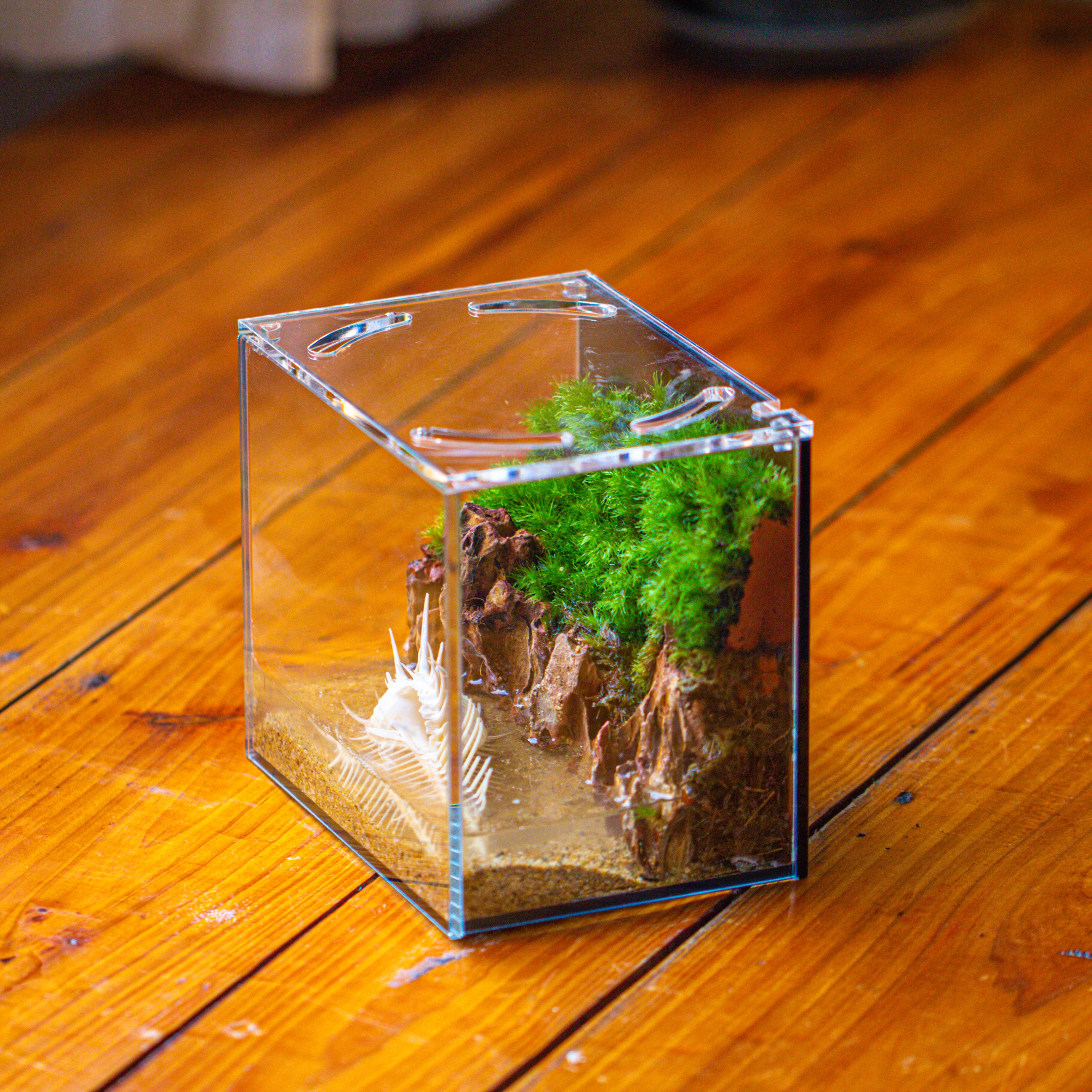 Watertight Glass Terrarium with LED Grow Light, Acrylic Lid for Moss Wall, vertical planting -15x11x13cm / 5.9x4.3x5.1'' - NCYPgarden