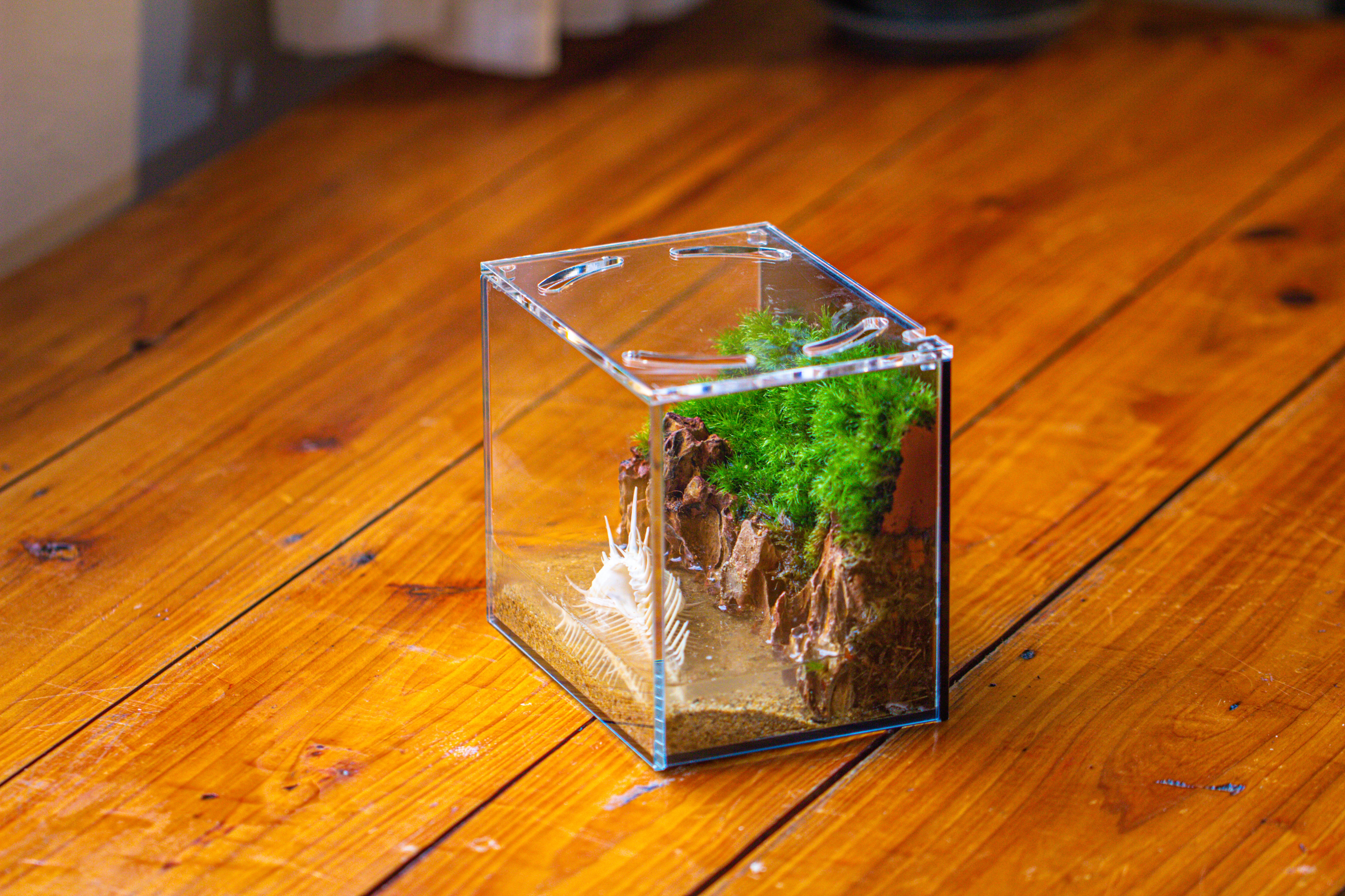 Watertight Glass Terrarium with LED Grow Light, Acrylic Lid for Moss Wall, vertical planting-15x11x13cm / 5.9x4.3x5.1'' - NCYPgarden