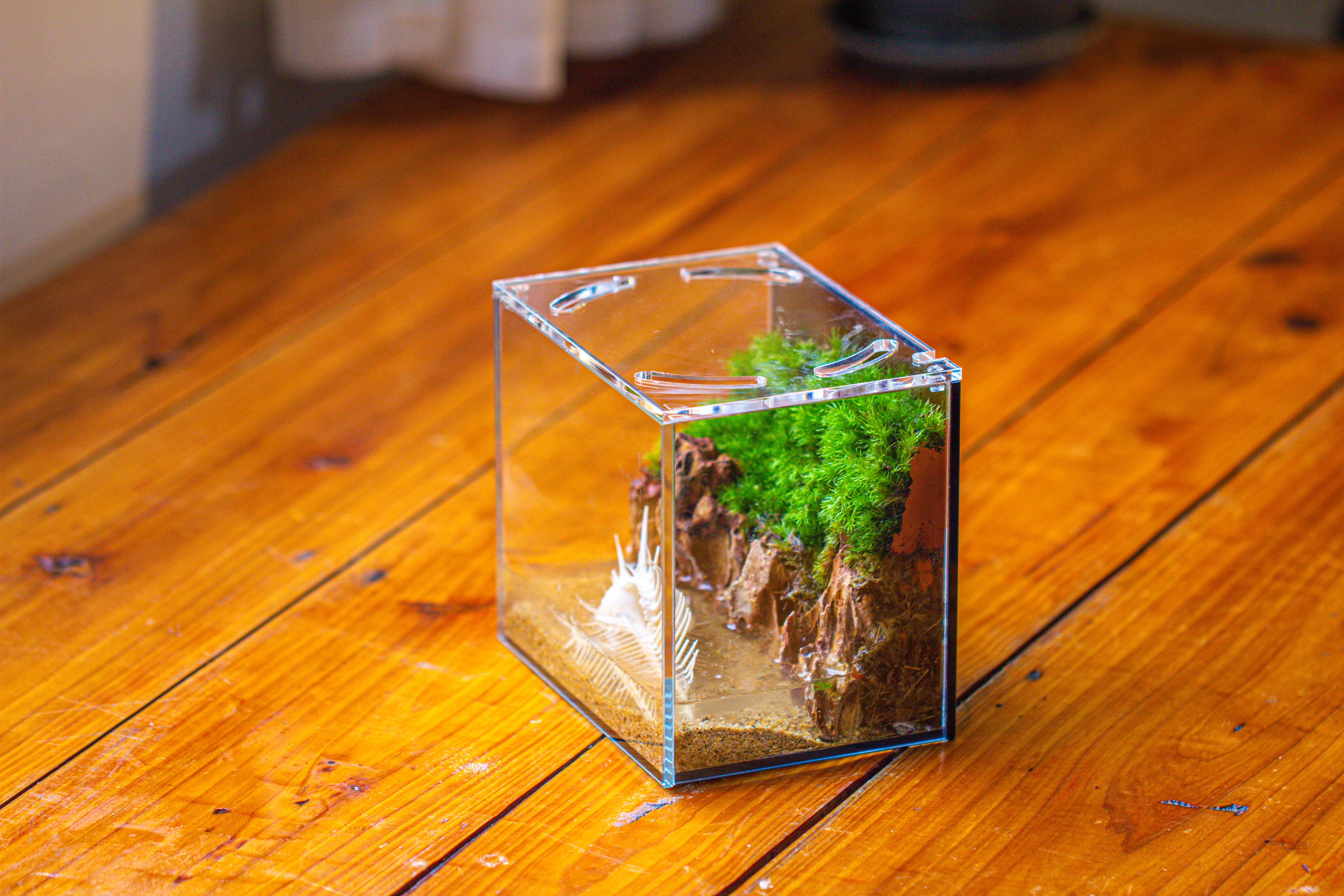 Watertight Glass Terrarium with LED Grow Light, Acrylic Lid for Moss Wall, vertical planting-15x11x13cm / 5.9x4.3x5.1'' - NCYPgarden