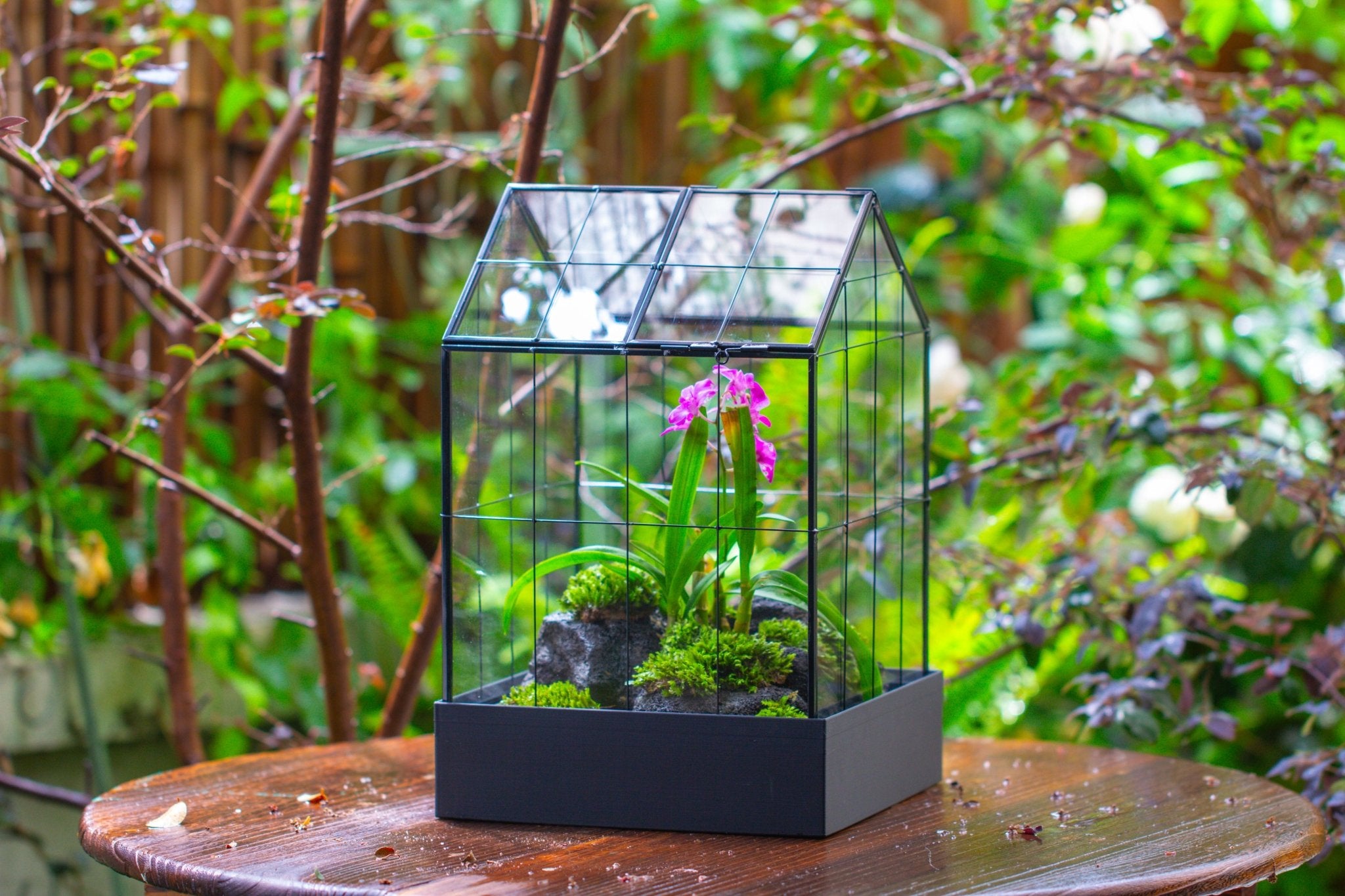 11” Vintage Greenhouse Glass Terrarium with Water - Holding Tray and Top Door - NCYPgarden