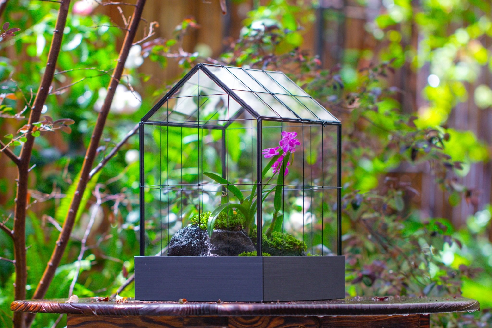 11” Vintage Greenhouse Glass Terrarium with Water - Holding Tray and Top Door - NCYPgarden