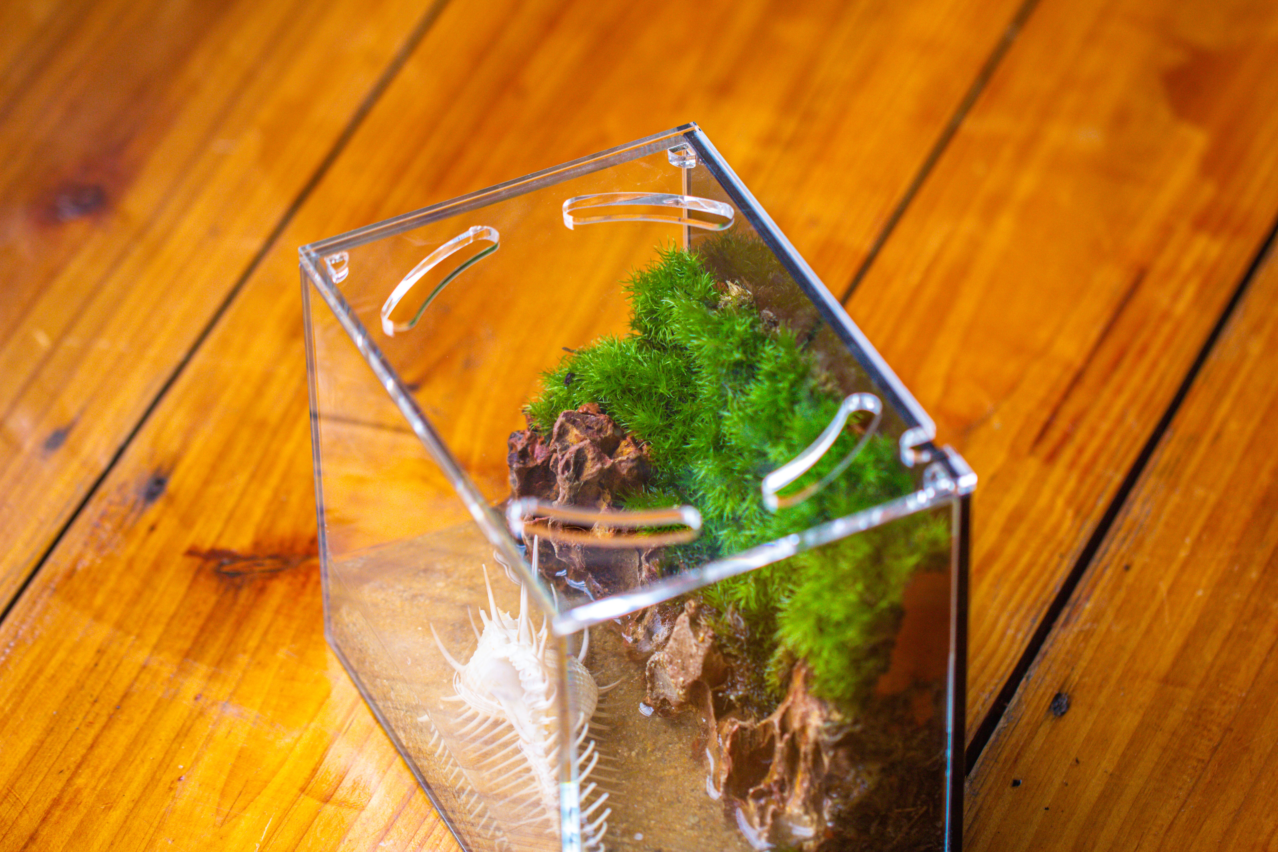 Watertight Glass Terrarium with LED Grow Light, Acrylic Lid for Moss Wall, vertical planting -15x11x13cm / 5.9x4.3x5.1'' - NCYPgarden