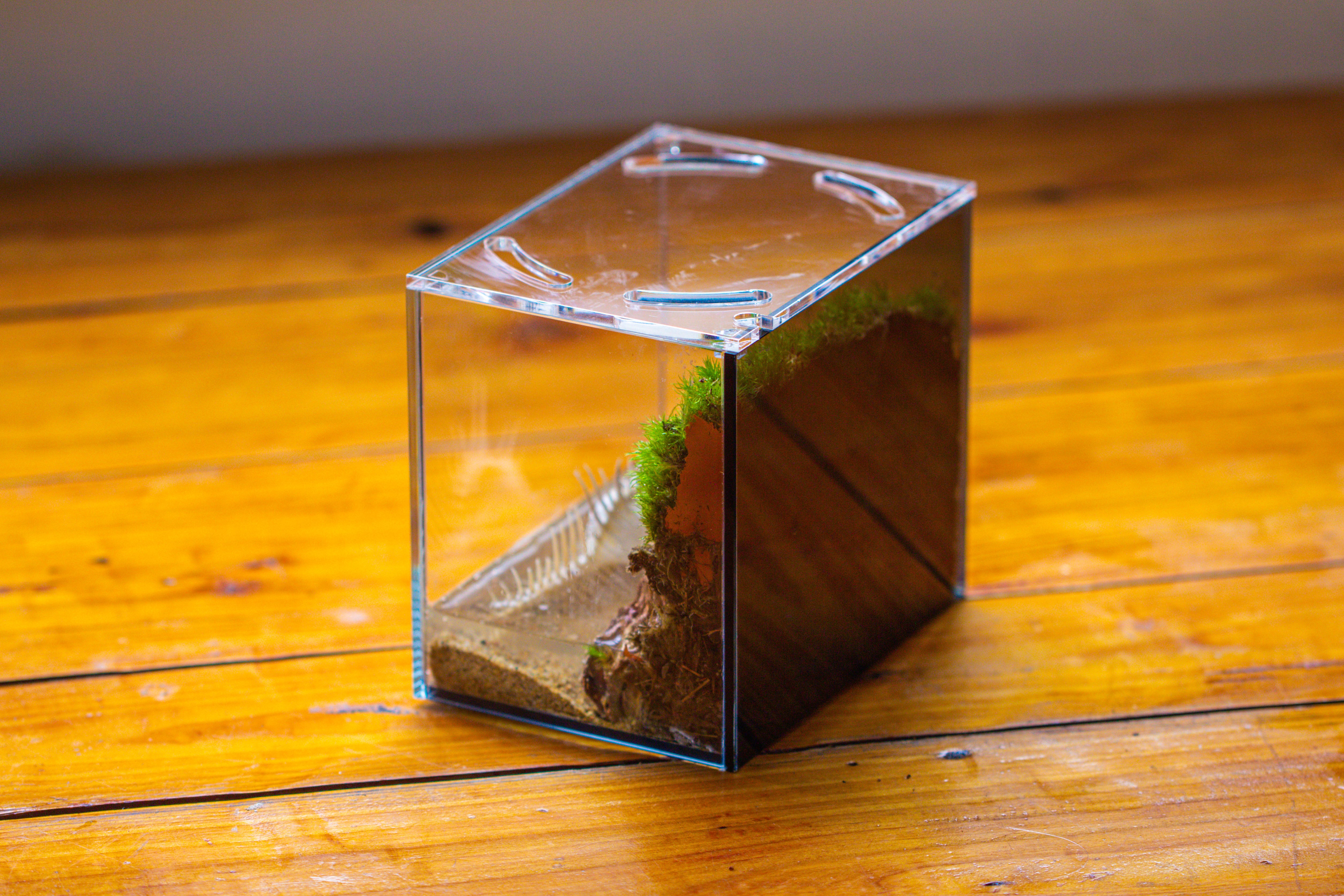 Watertight Glass Terrarium with LED Grow Light, Acrylic Lid for Moss Wall, vertical planting -15x11x13cm / 5.9x4.3x5.1'' - NCYPgarden