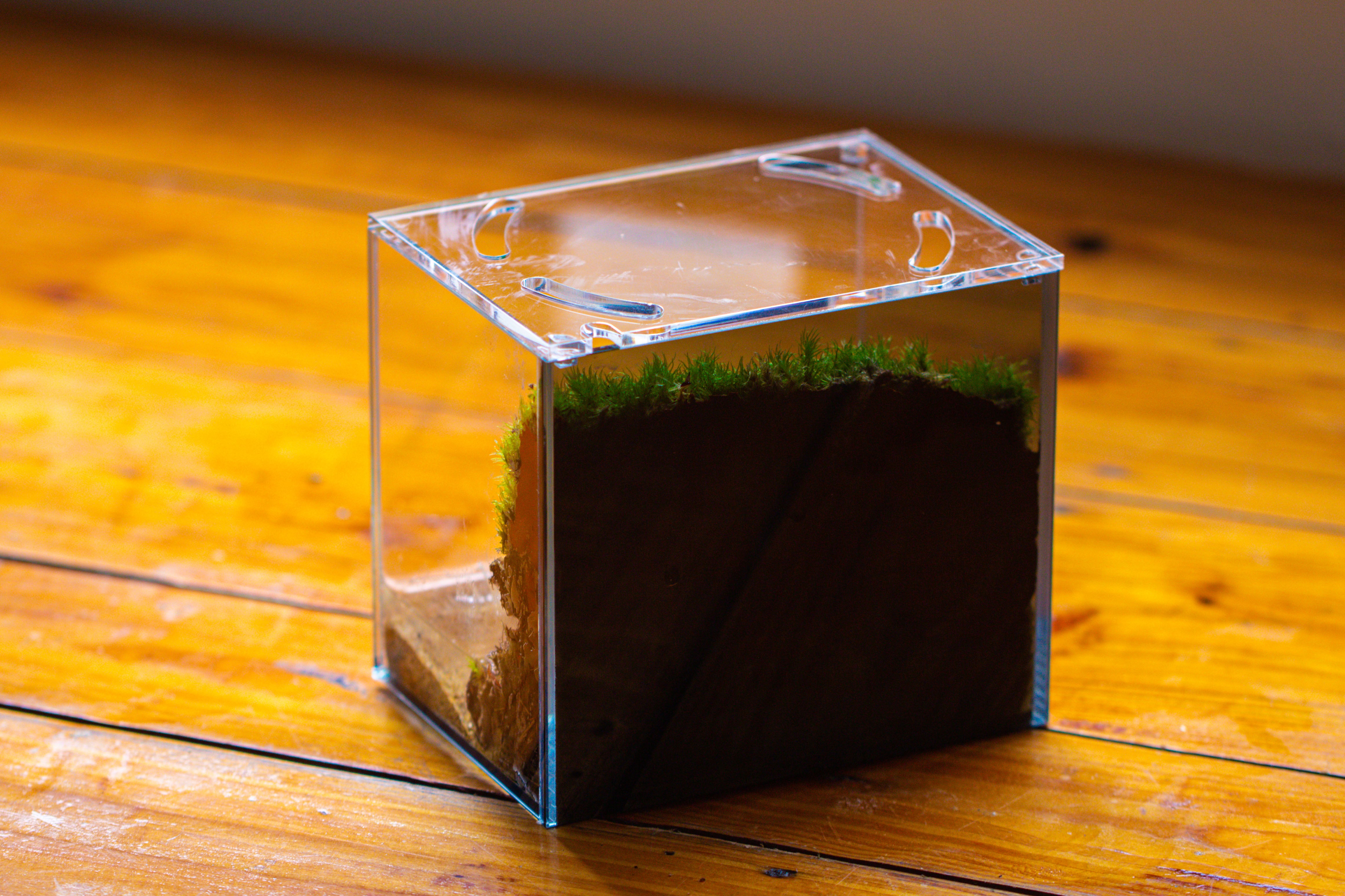 Watertight Glass Terrarium with LED Grow Light, Acrylic Lid for Moss Wall, vertical planting-15x11x13cm / 5.9x4.3x5.1'' - NCYPgarden