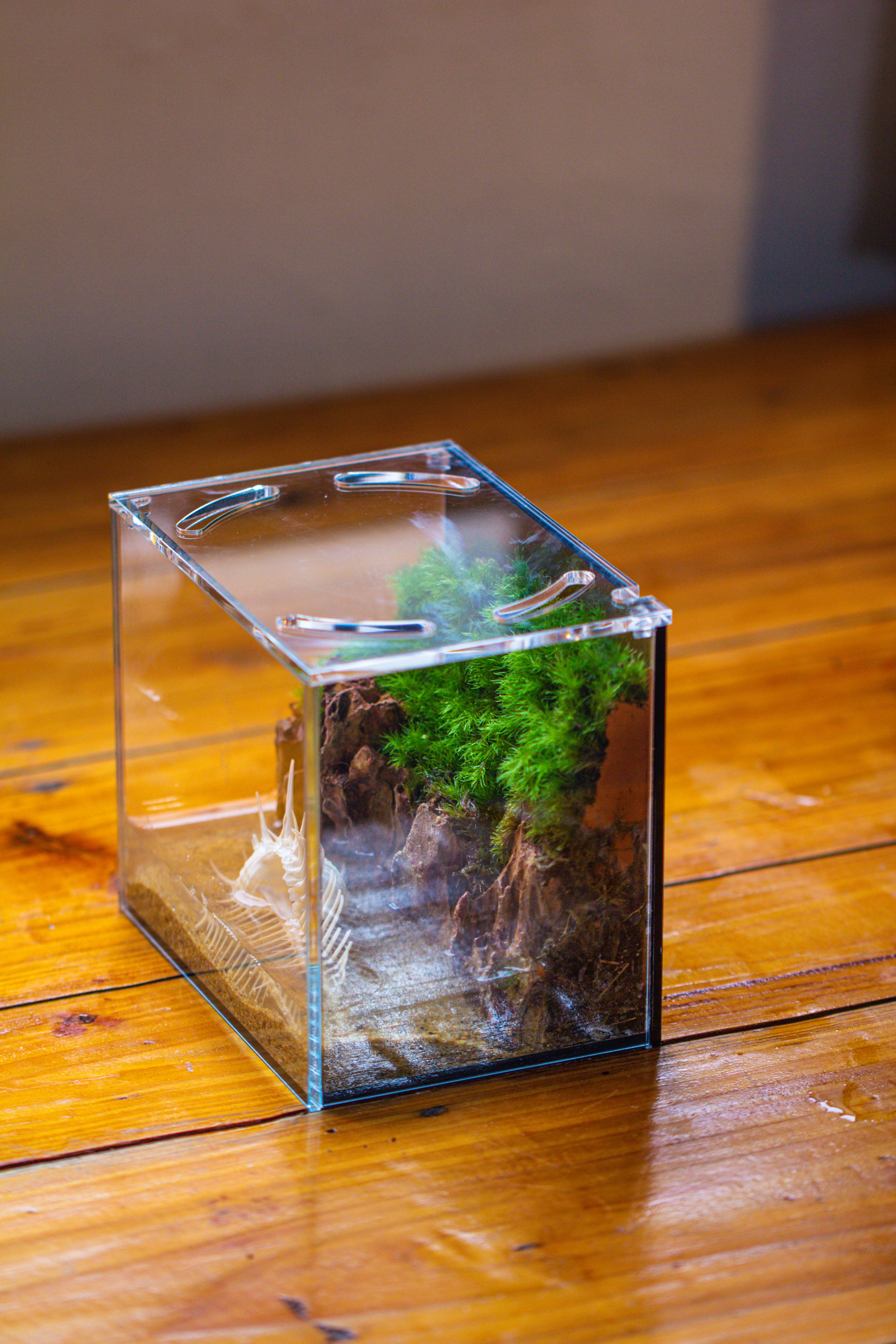 Watertight Glass Terrarium with LED Grow Light, Acrylic Lid for Moss Wall, vertical planting-15x11x13cm / 5.9x4.3x5.1'' - NCYPgarden