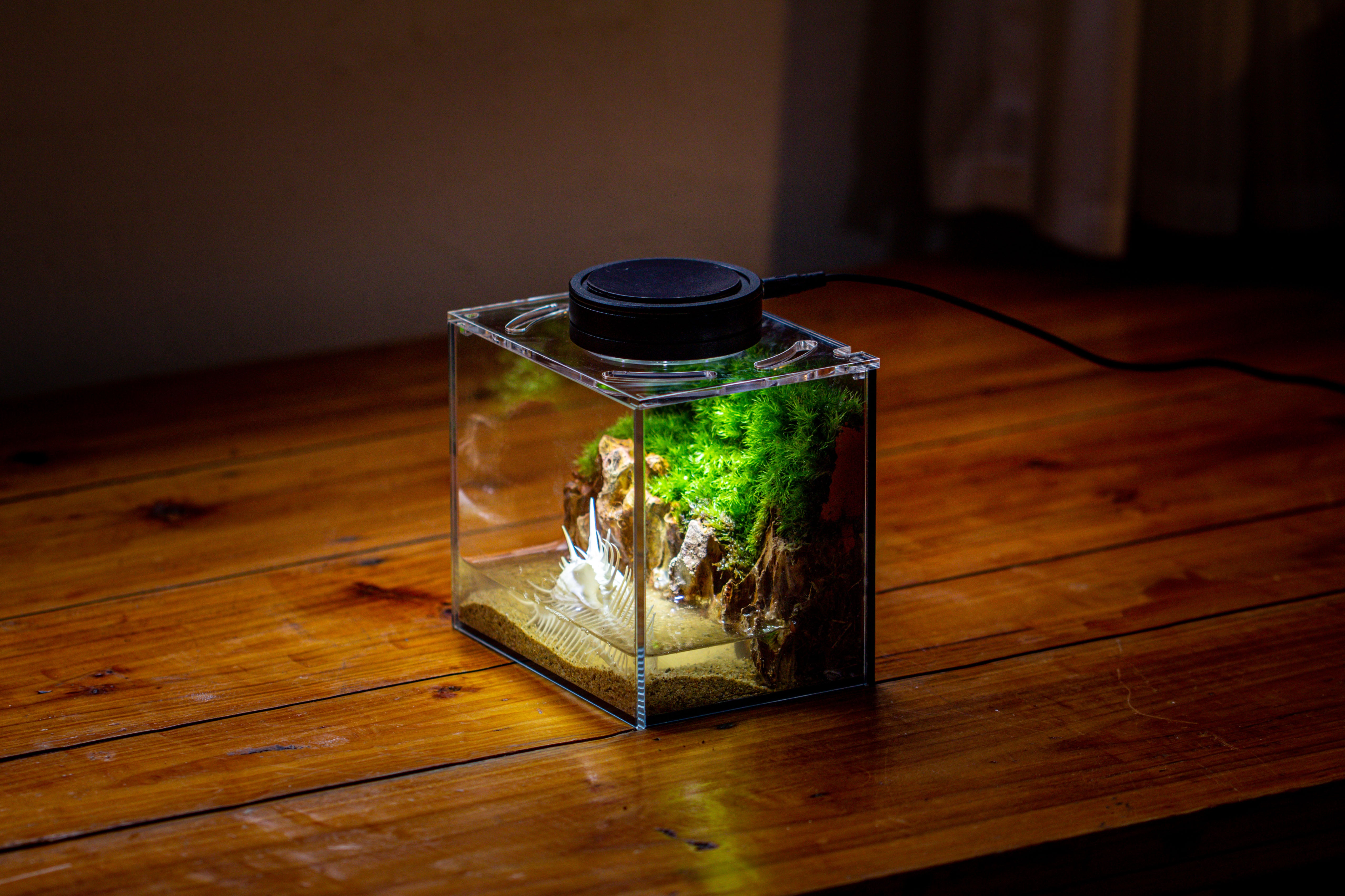 Watertight Glass Terrarium with LED Grow Light, Acrylic Lid for Moss Wall, vertical planting-15x11x13cm / 5.9x4.3x5.1'' - NCYPgarden