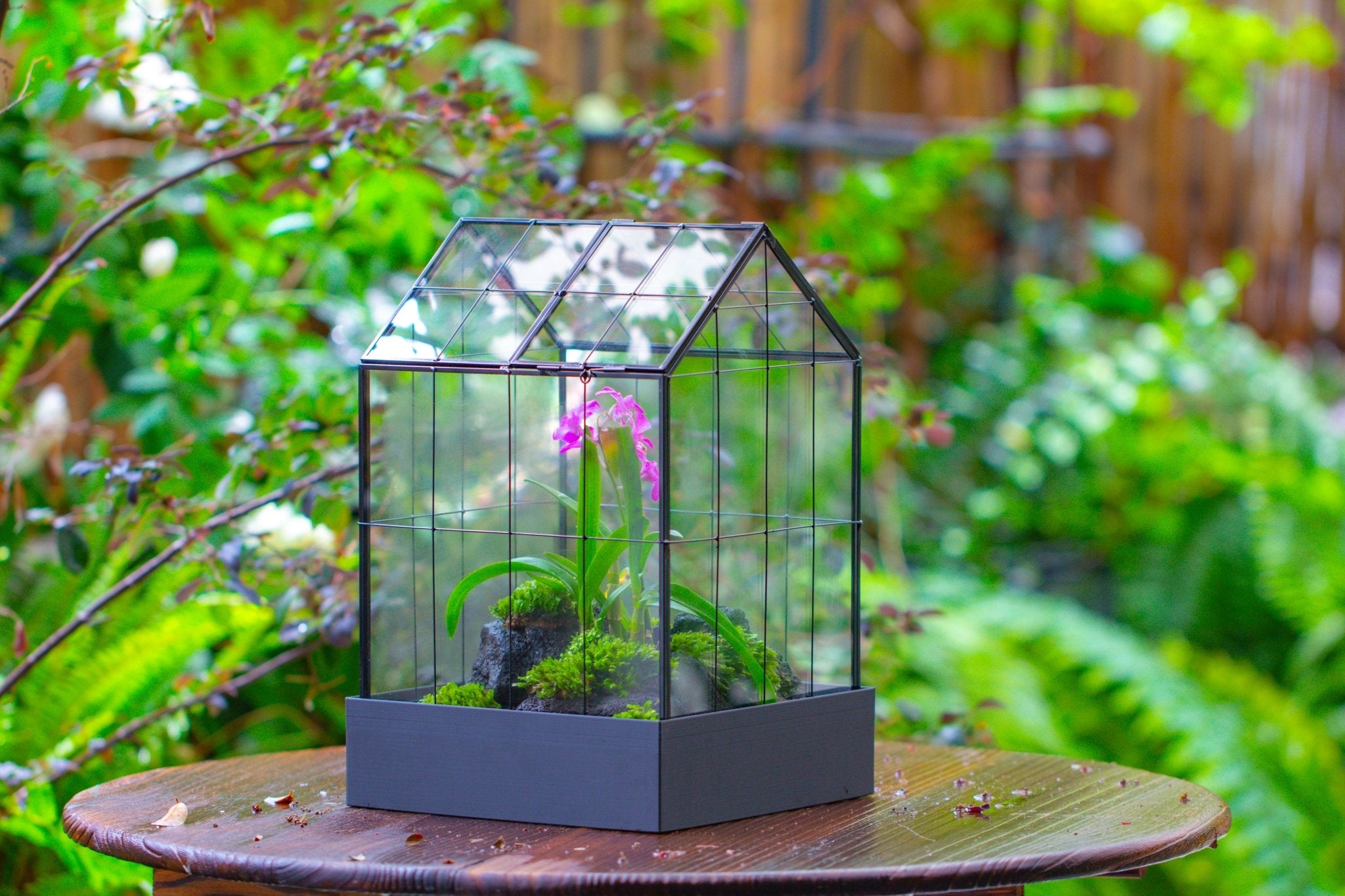 11” Vintage Greenhouse Glass Terrarium with Water - Holding Tray and Top Door - NCYPgarden