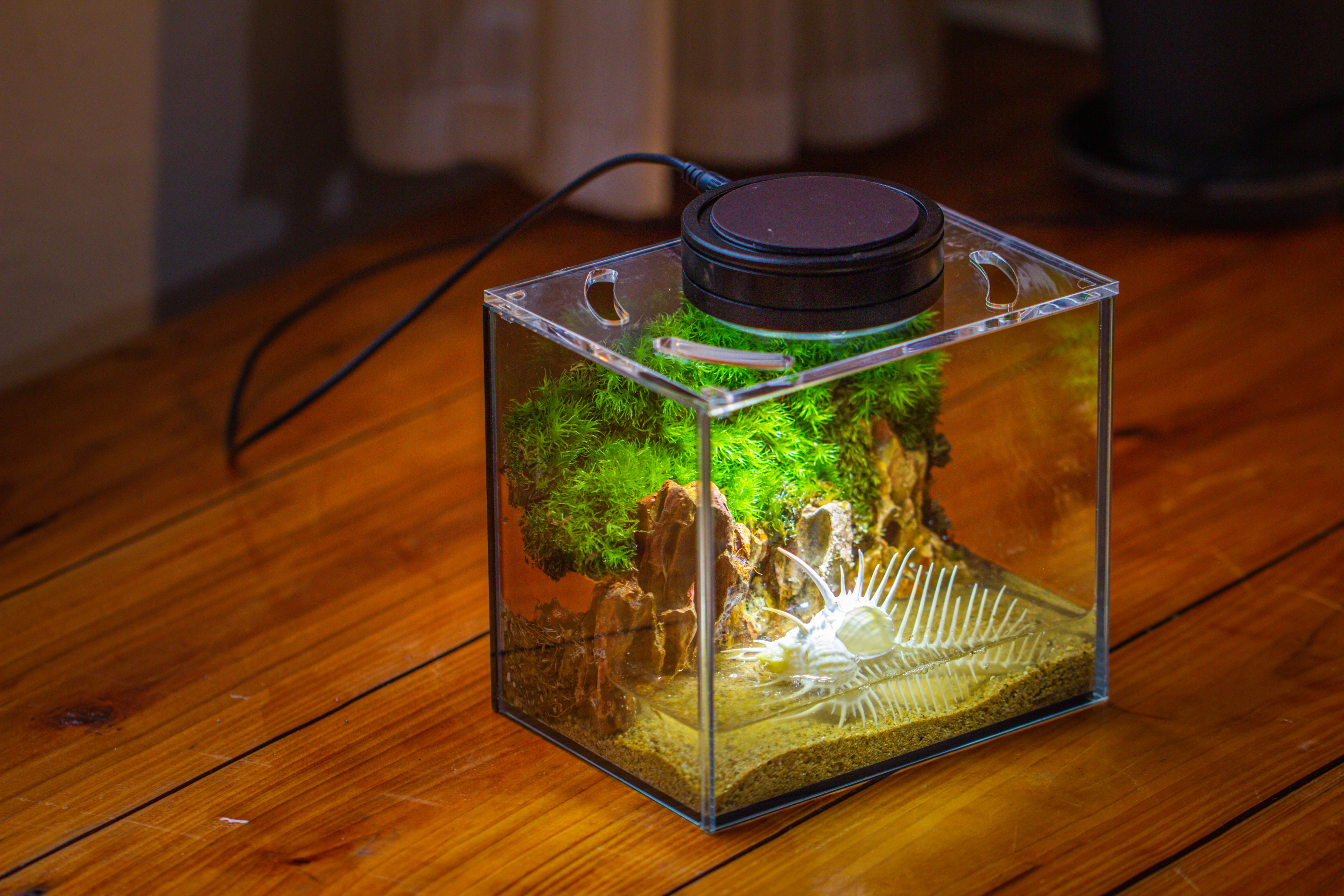 Watertight Glass Terrarium with LED Grow Light, Acrylic Lid for Moss Wall, vertical planting -15x11x13cm / 5.9x4.3x5.1'' - NCYPgarden