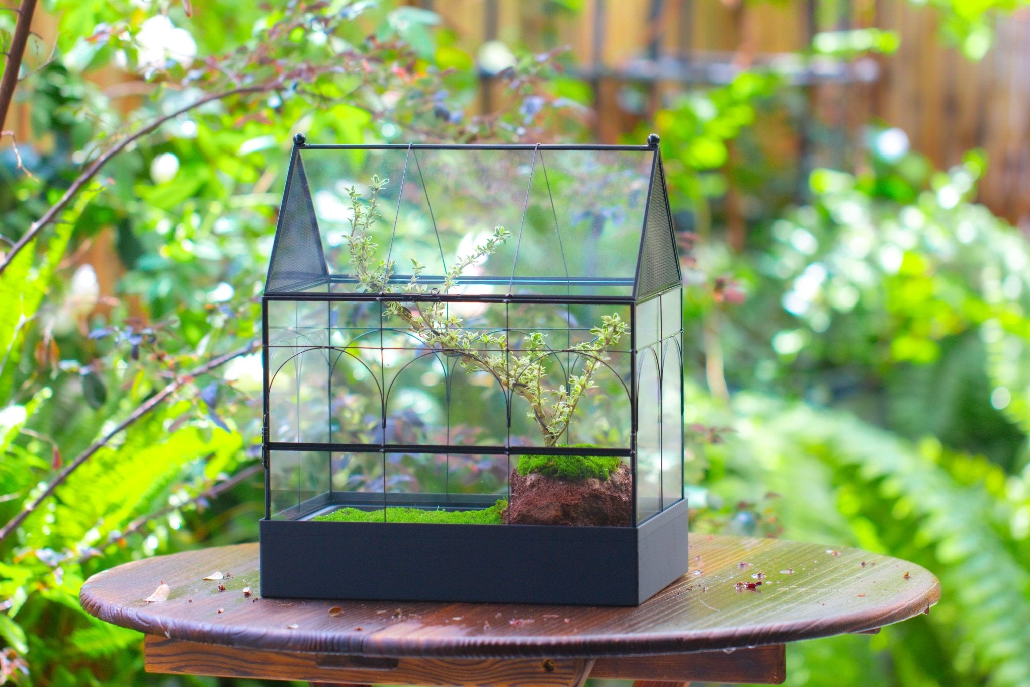 Large Vintage House Shape Insect Terrarium with Vent for Tarantulas, Mantis, Stick Insects - 13" - NCYPgarden