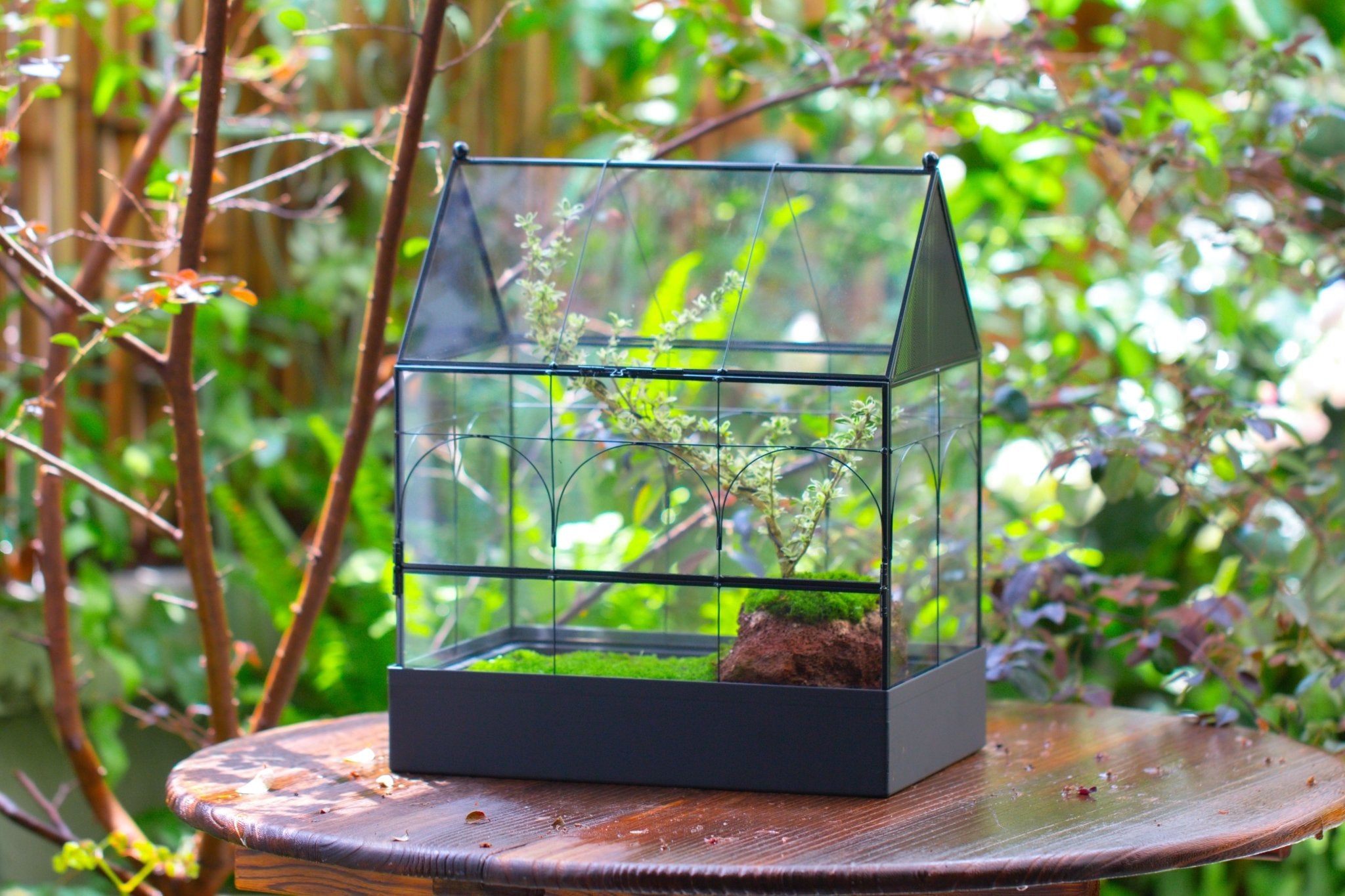 Large Vintage House Shape Insect Terrarium with Vent for Tarantulas, Mantis, Stick Insects - 13" - NCYPgarden