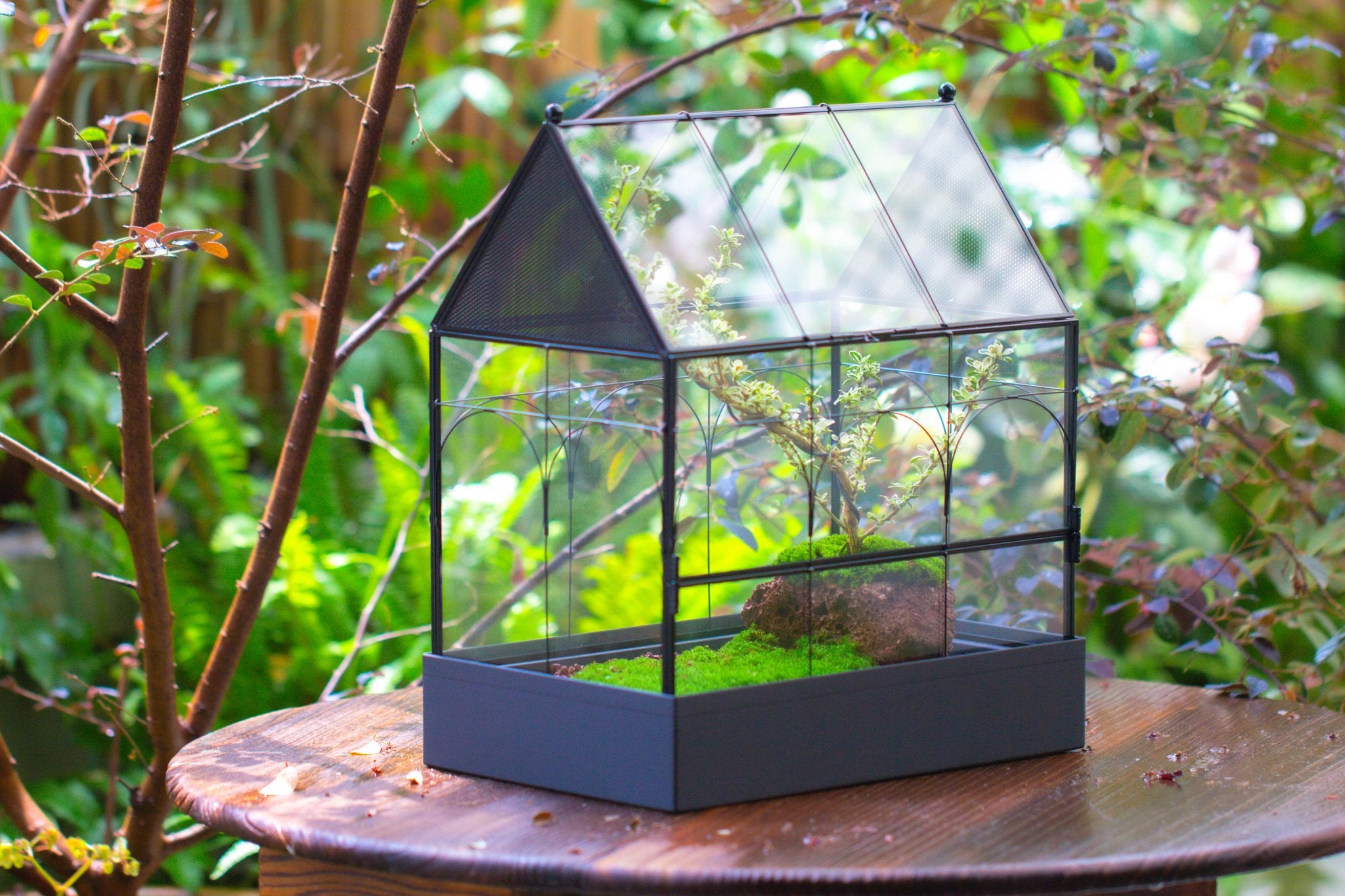 Large Vintage House Shape Insect Terrarium with Vent for Tarantulas, Mantis, Stick Insects - 13" - NCYPgarden