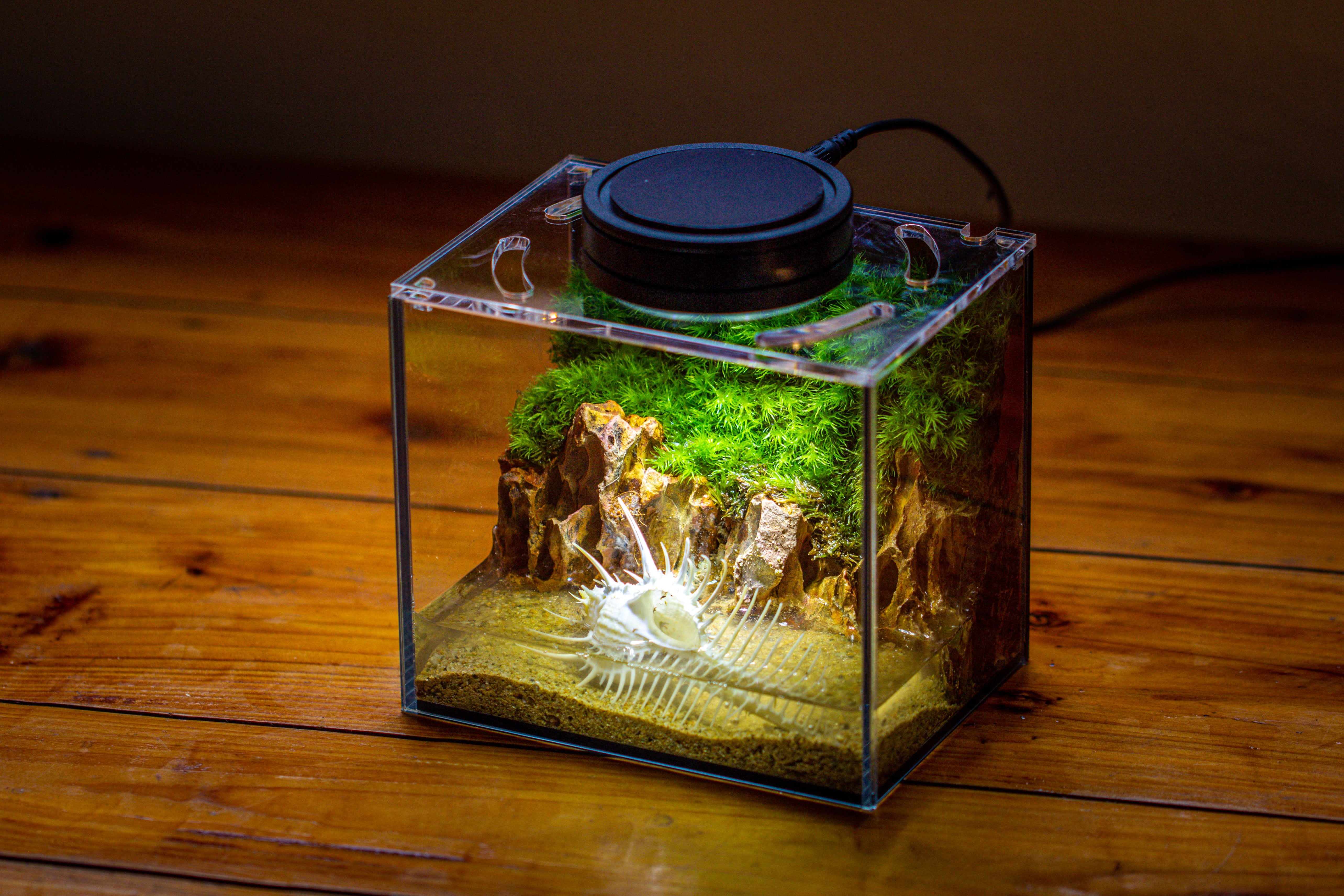 Watertight Glass Terrarium with LED Grow Light, Acrylic Lid for Moss Wall, vertical planting -15x11x13cm / 5.9x4.3x5.1'' - NCYPgarden