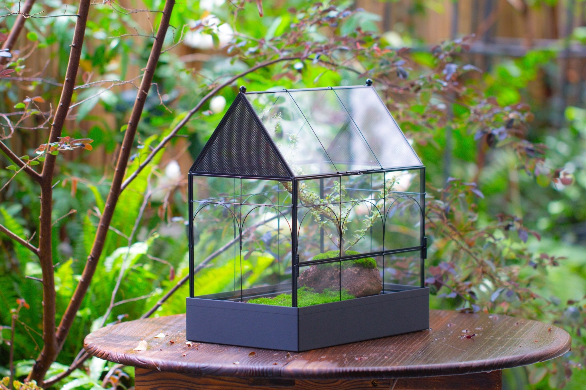 Large Vintage House Shape Insect Terrarium with Vent for Tarantulas, Mantis, Stick Insects - 13" - NCYPgarden