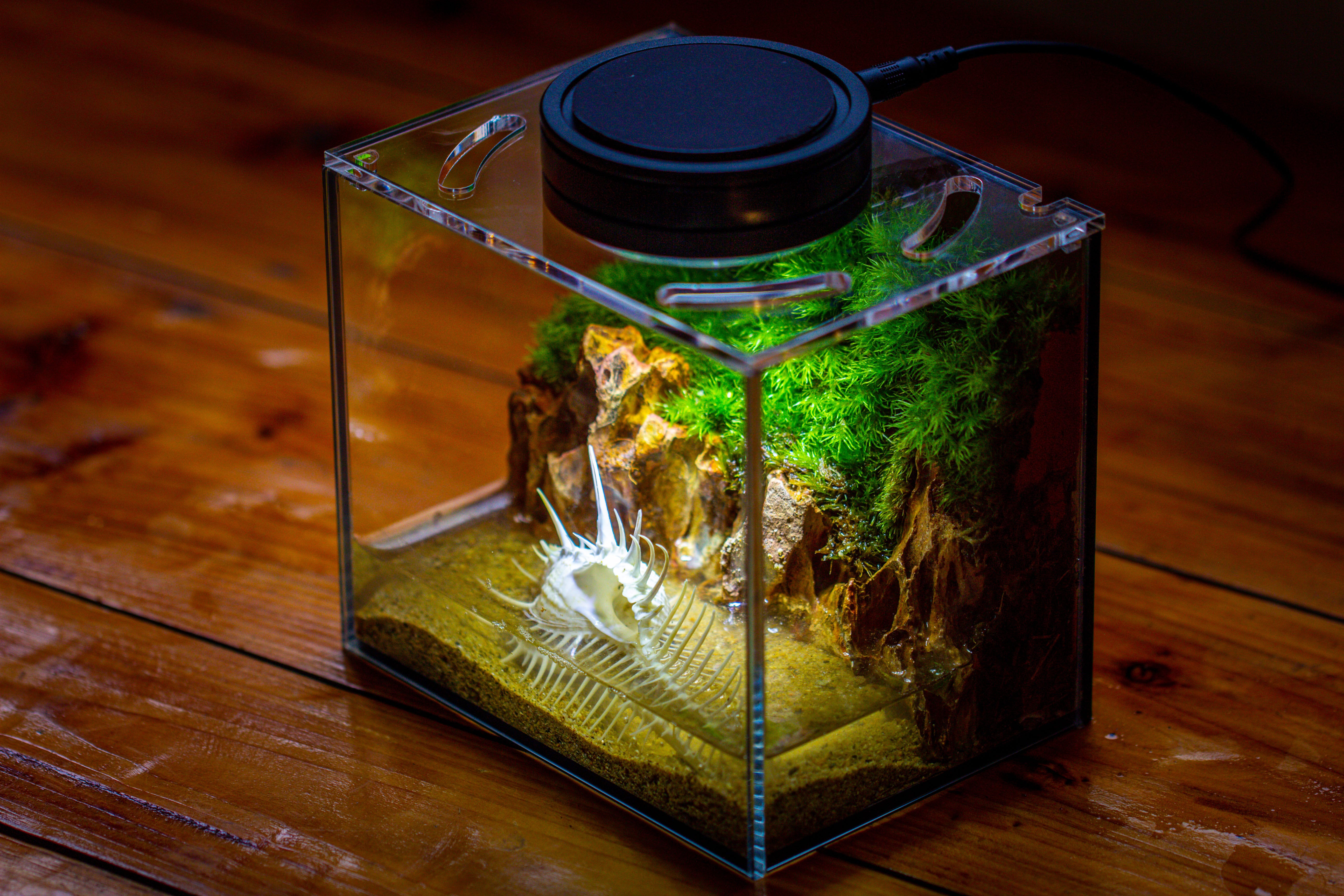 Watertight Glass Terrarium with LED Grow Light, Acrylic Lid for Moss Wall, vertical planting -15x11x13cm / 5.9x4.3x5.1'' - NCYPgarden