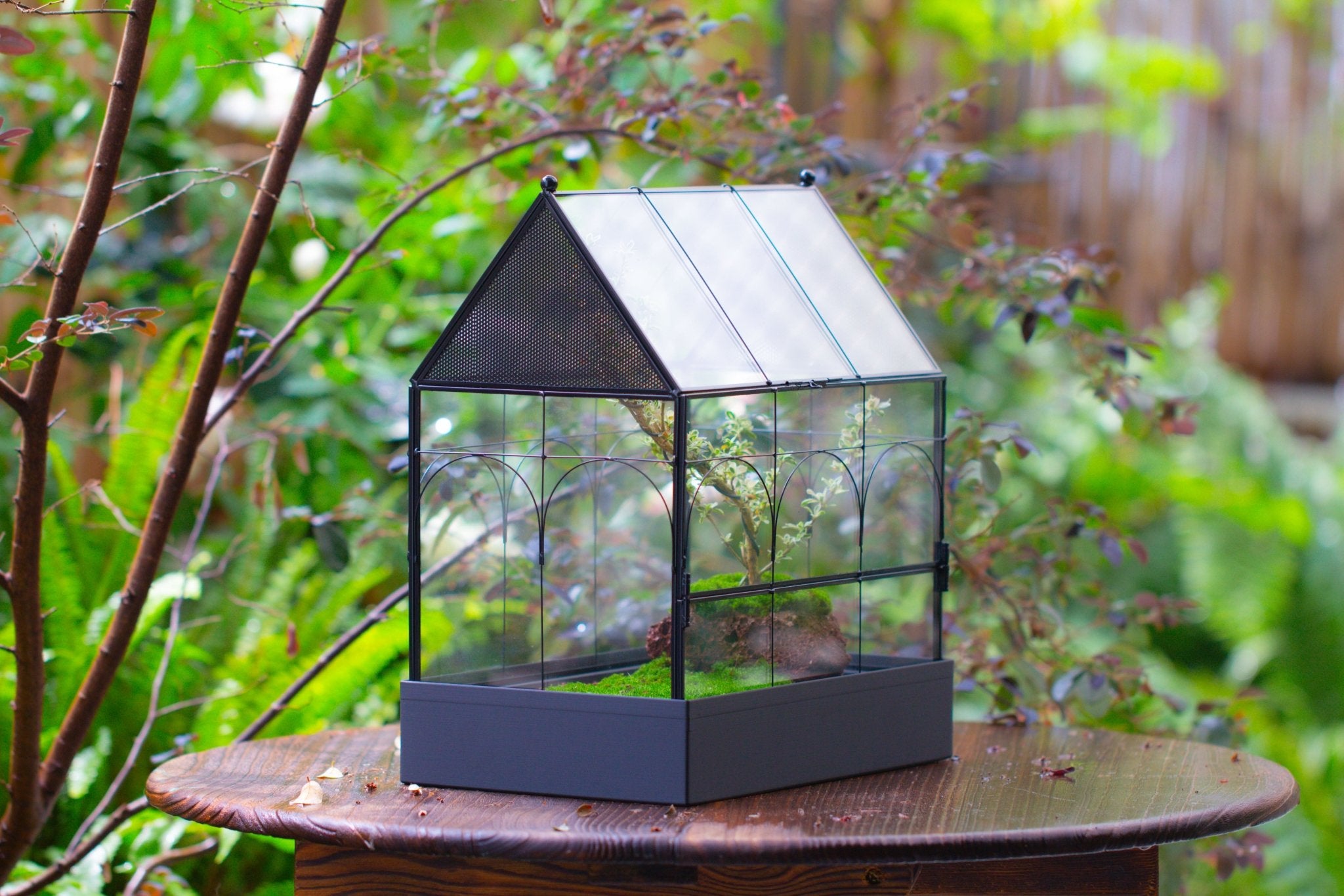 Large Vintage House Shape Insect Terrarium with Vent for Tarantulas, Mantis, Stick Insects - 13" - NCYPgarden