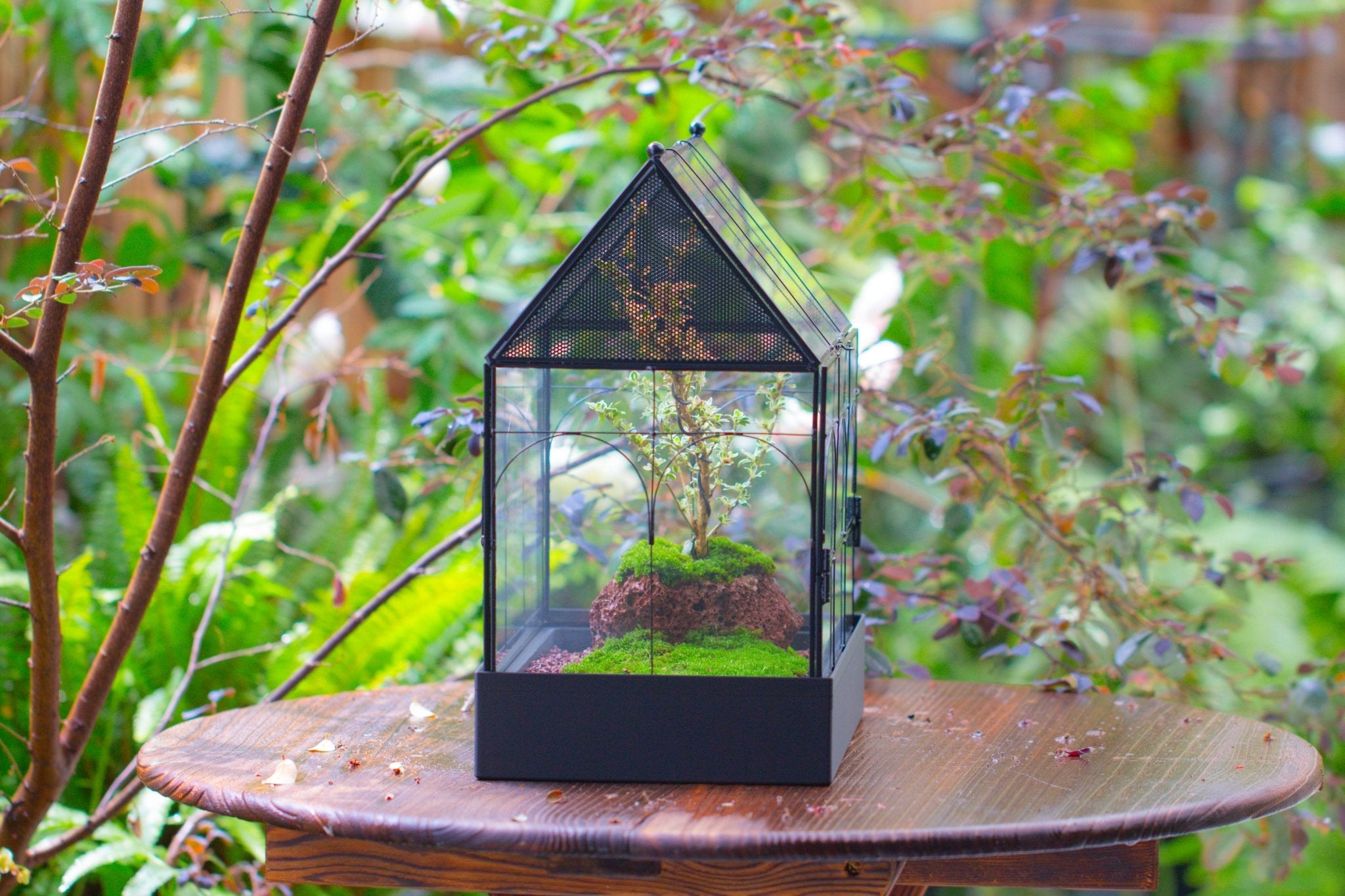 Large Vintage House Shape Insect Terrarium with Vent for Tarantulas, Mantis, Stick Insects - 13" - NCYPgarden