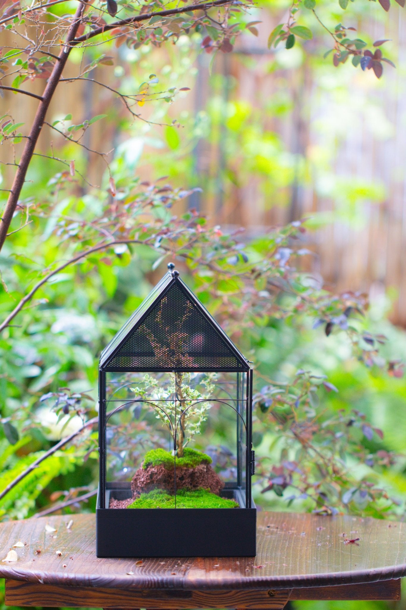 Large Vintage House Shape Insect Terrarium with Vent for Tarantulas, Mantis, Stick Insects - 13" - NCYPgarden